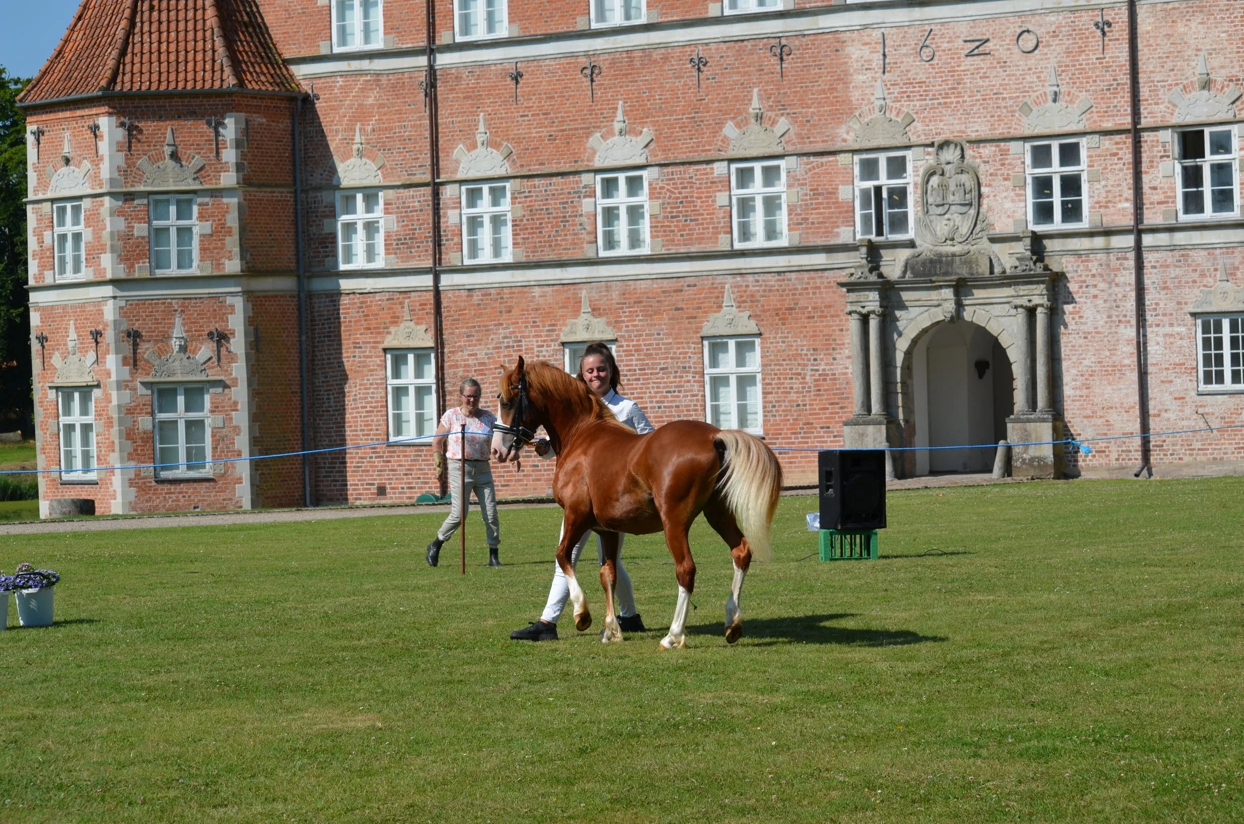 DSC_3807.JPG