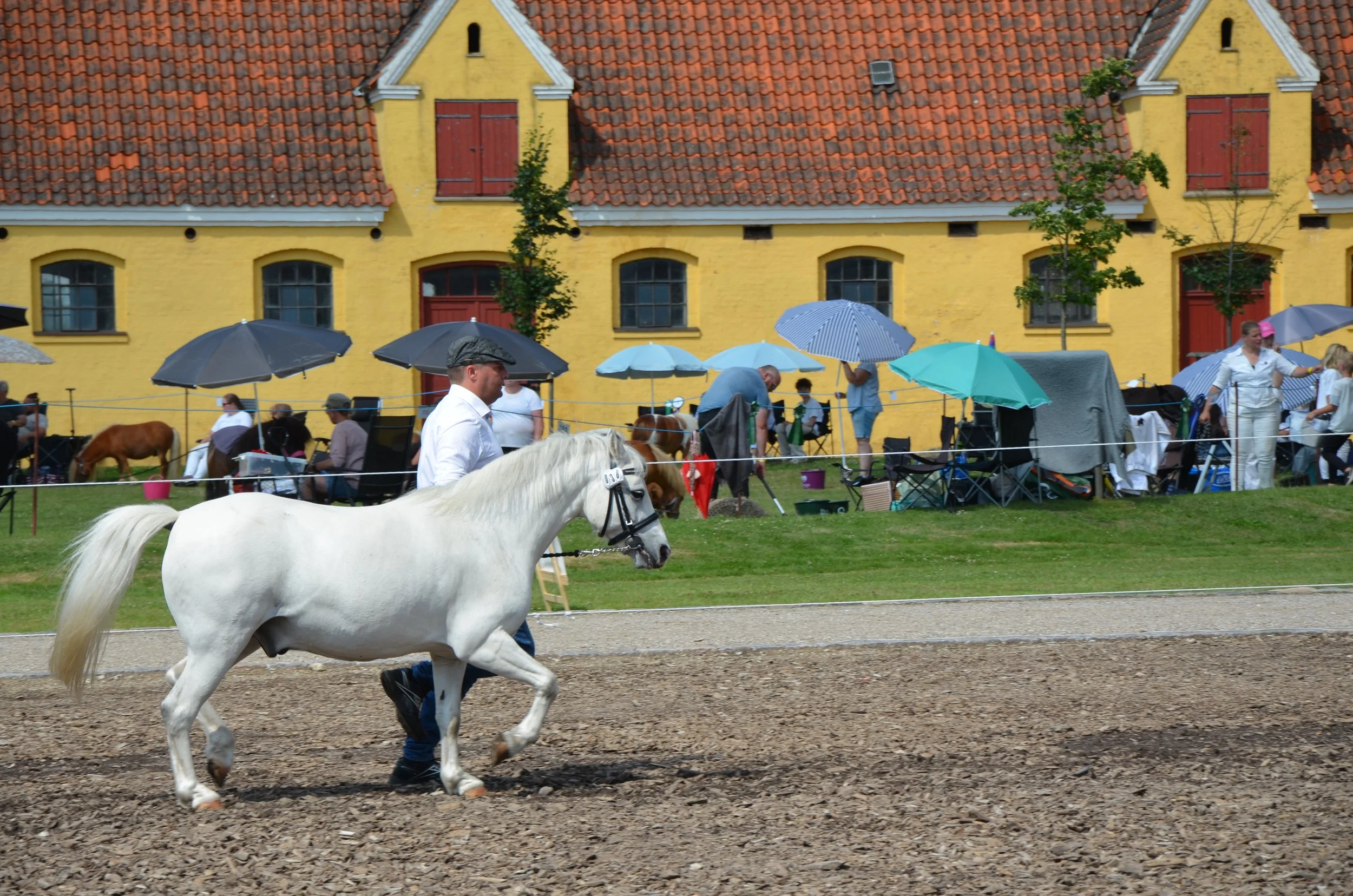 DSC_3992.JPG