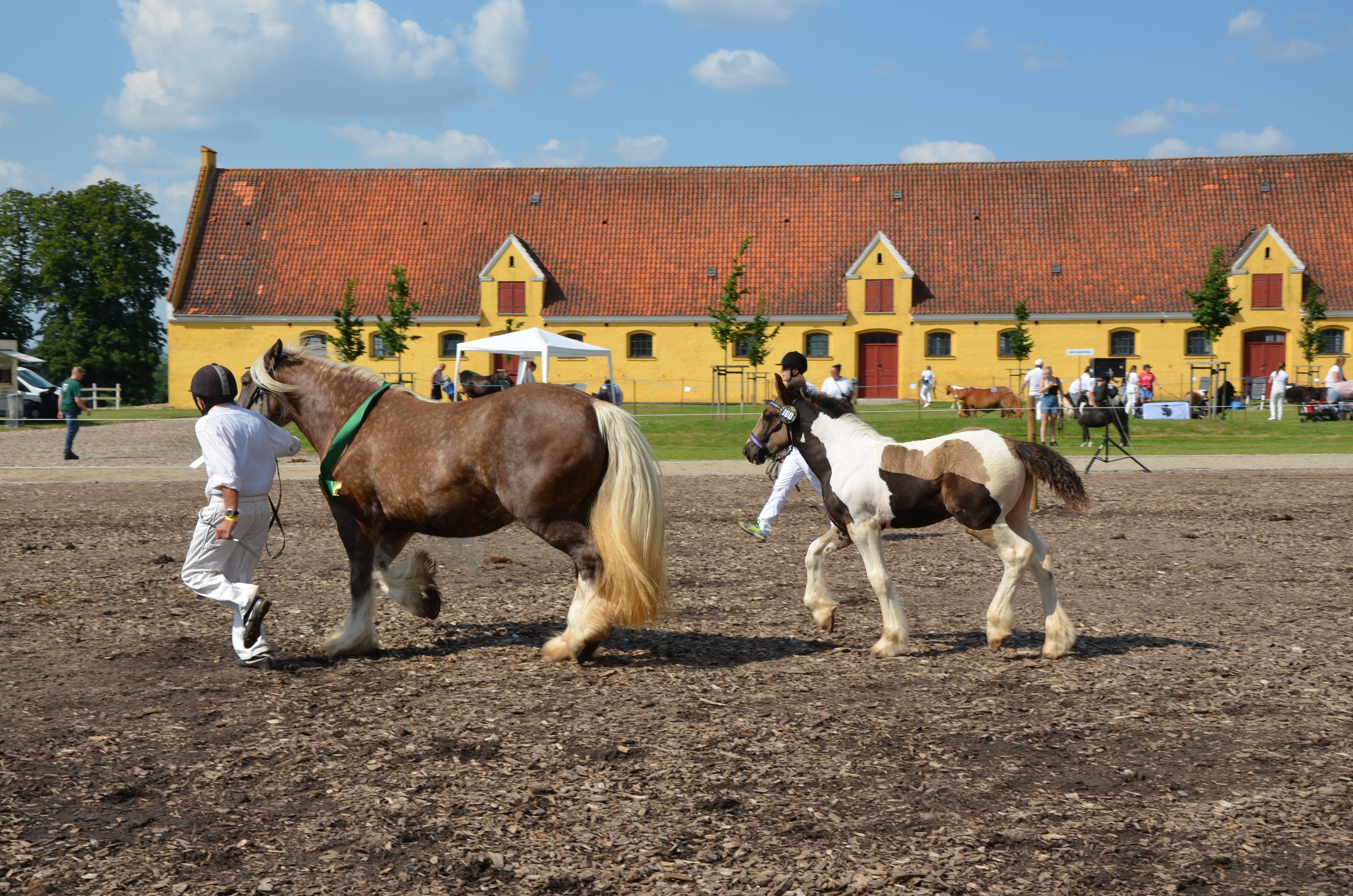DSC_4036.JPG