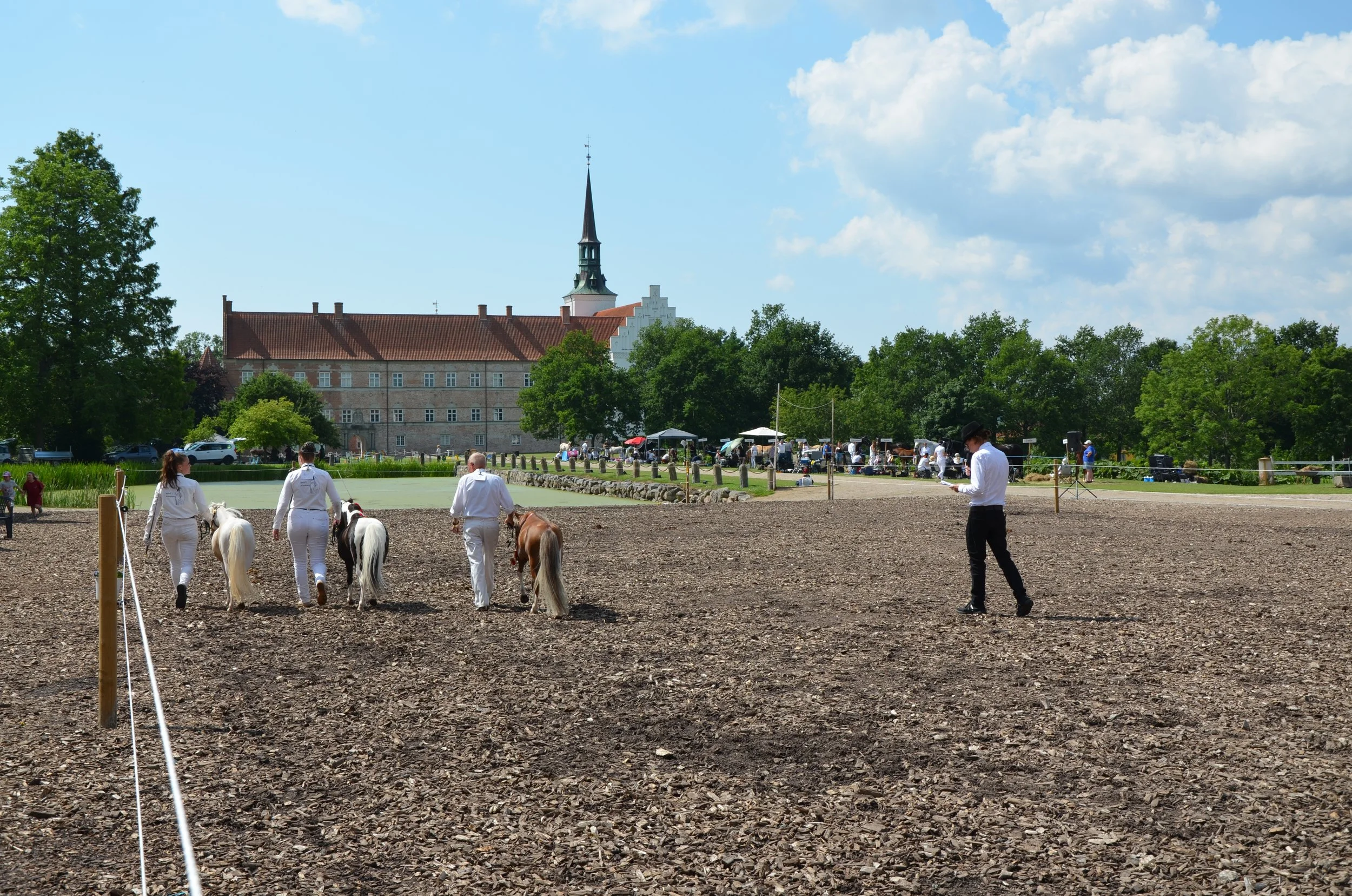 DSC_3949.JPG