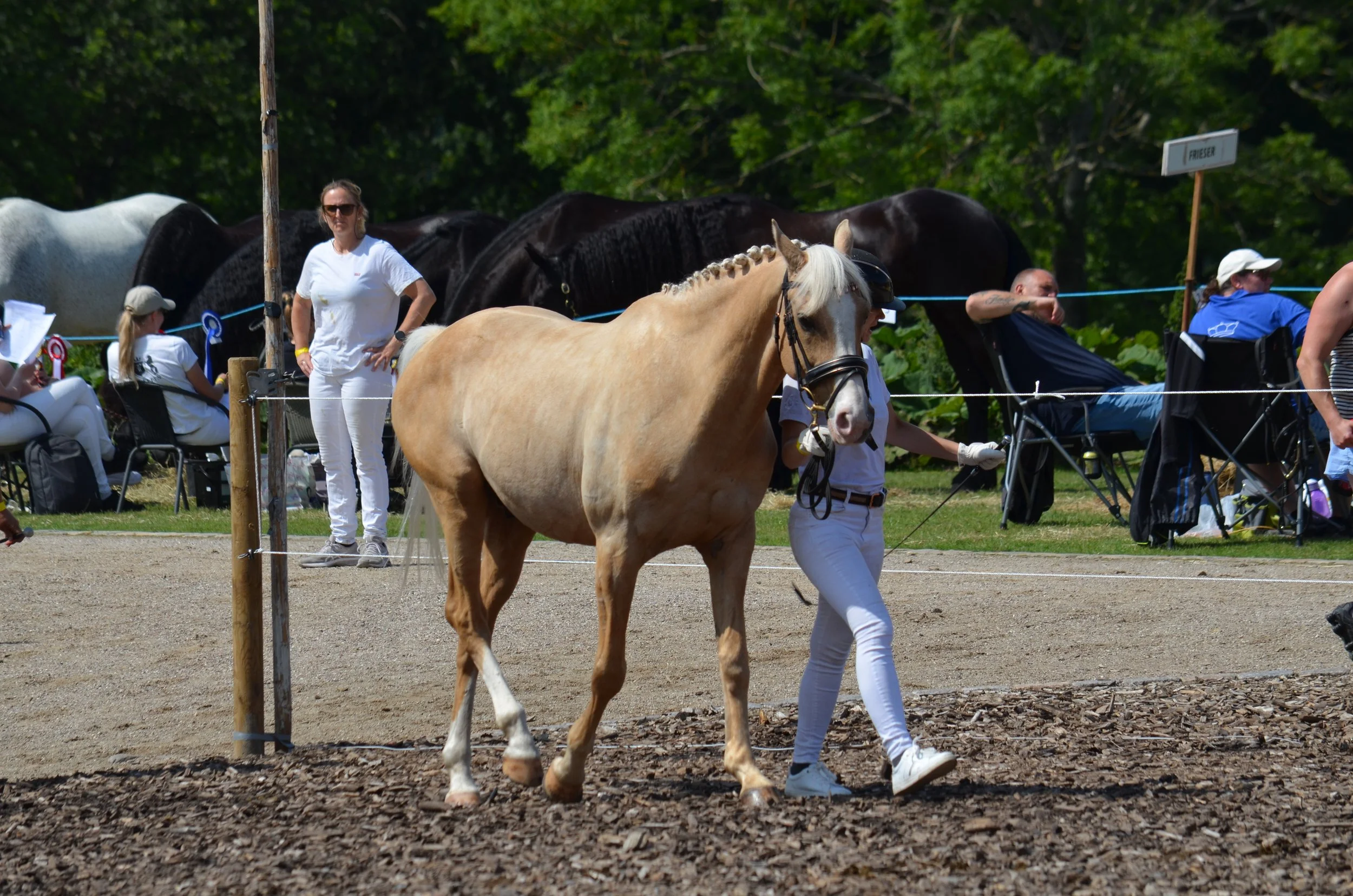 DSC_3930.JPG