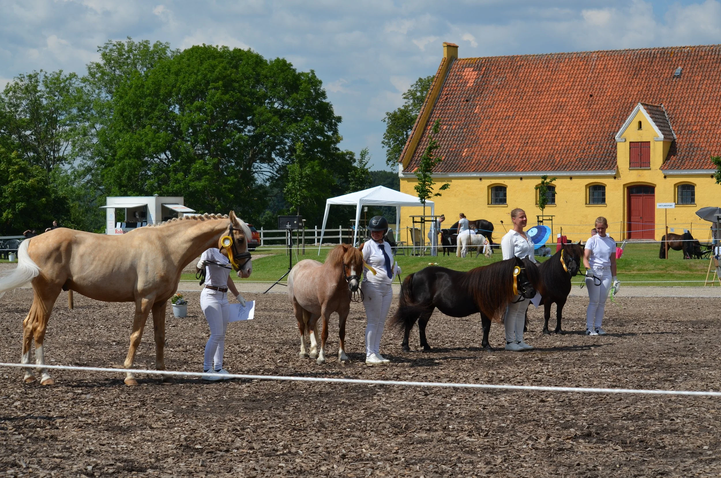 DSC_3943.JPG