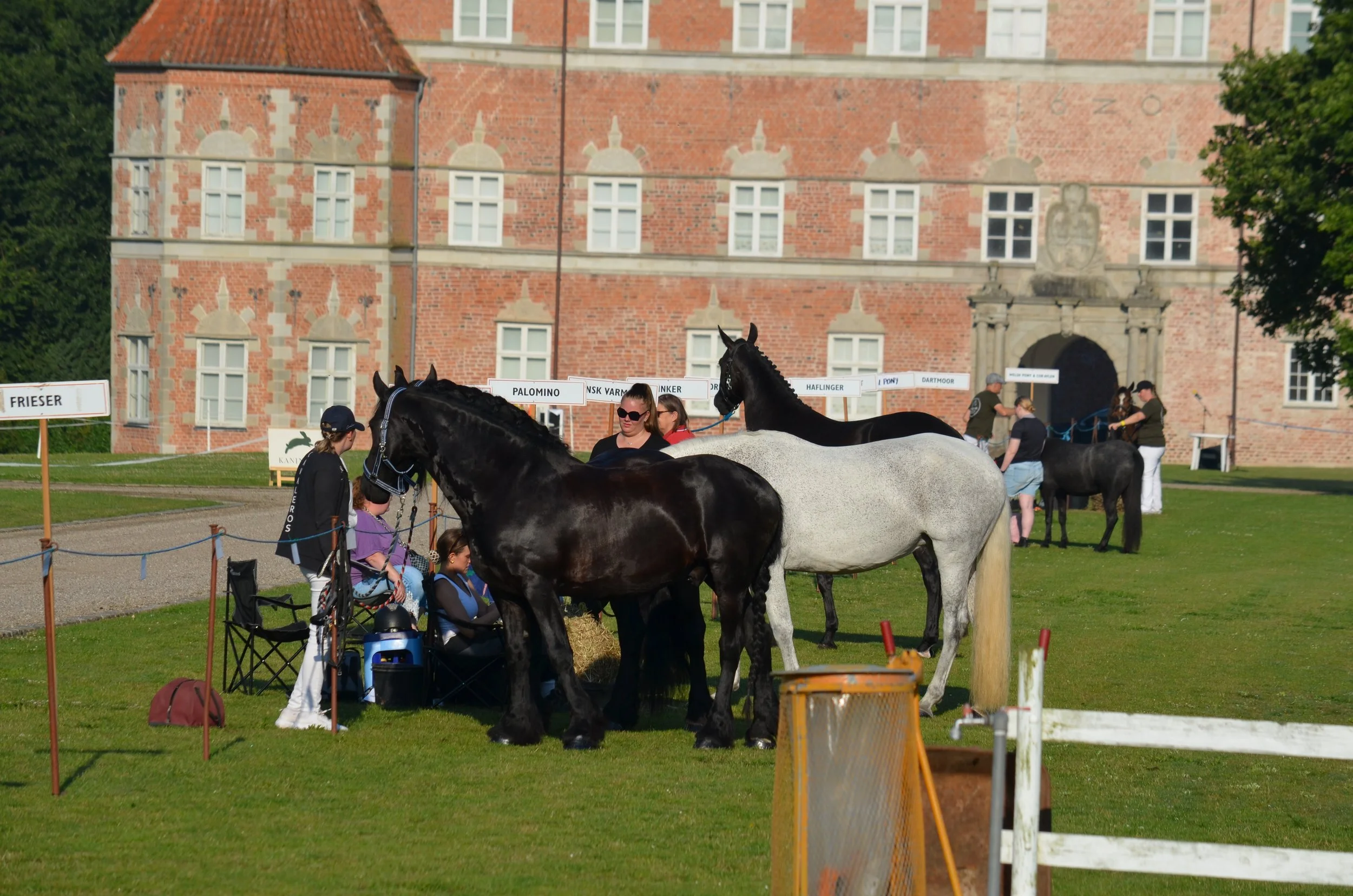 DSC_3682.JPG