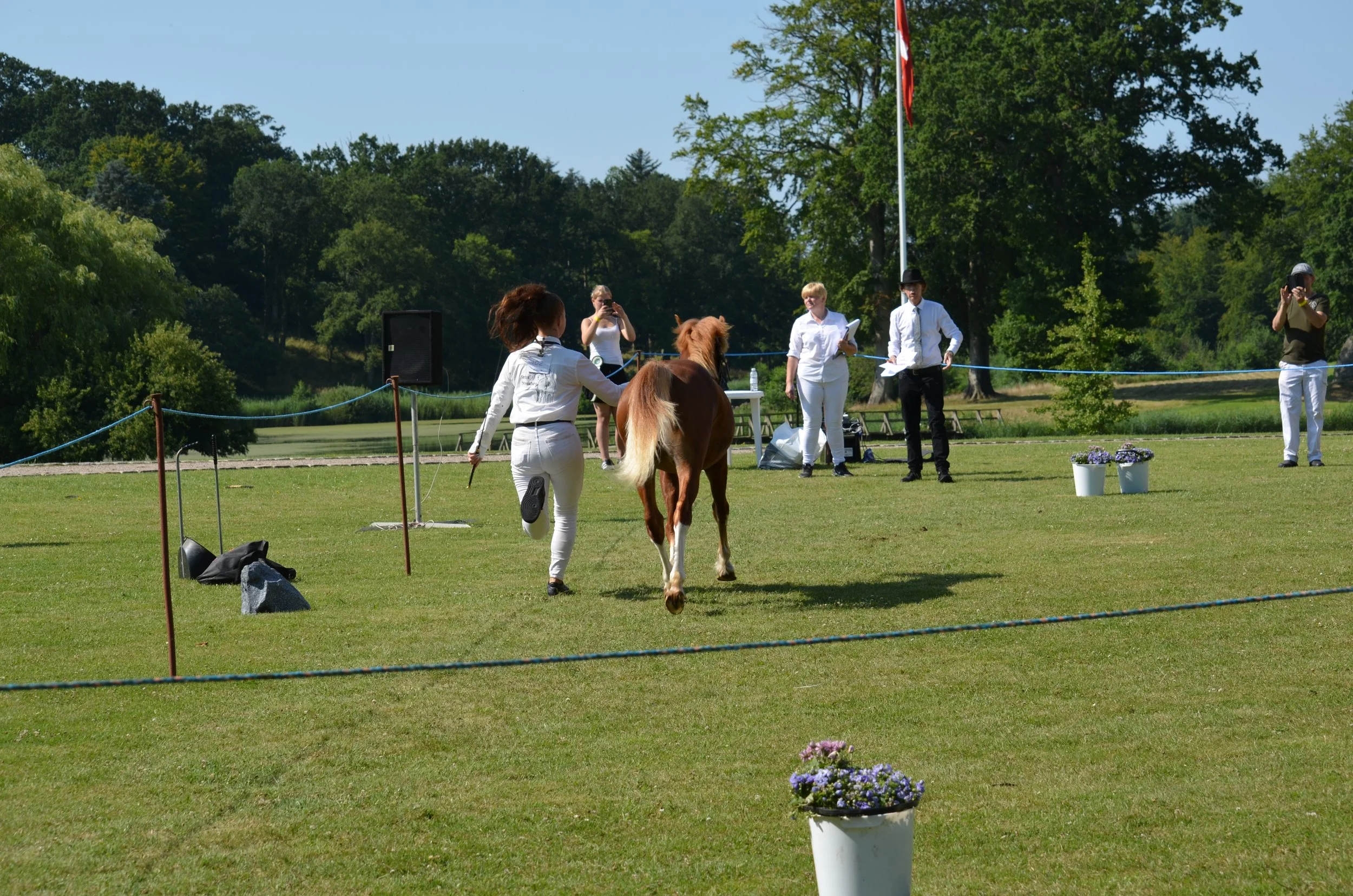 DSC_3801.JPG