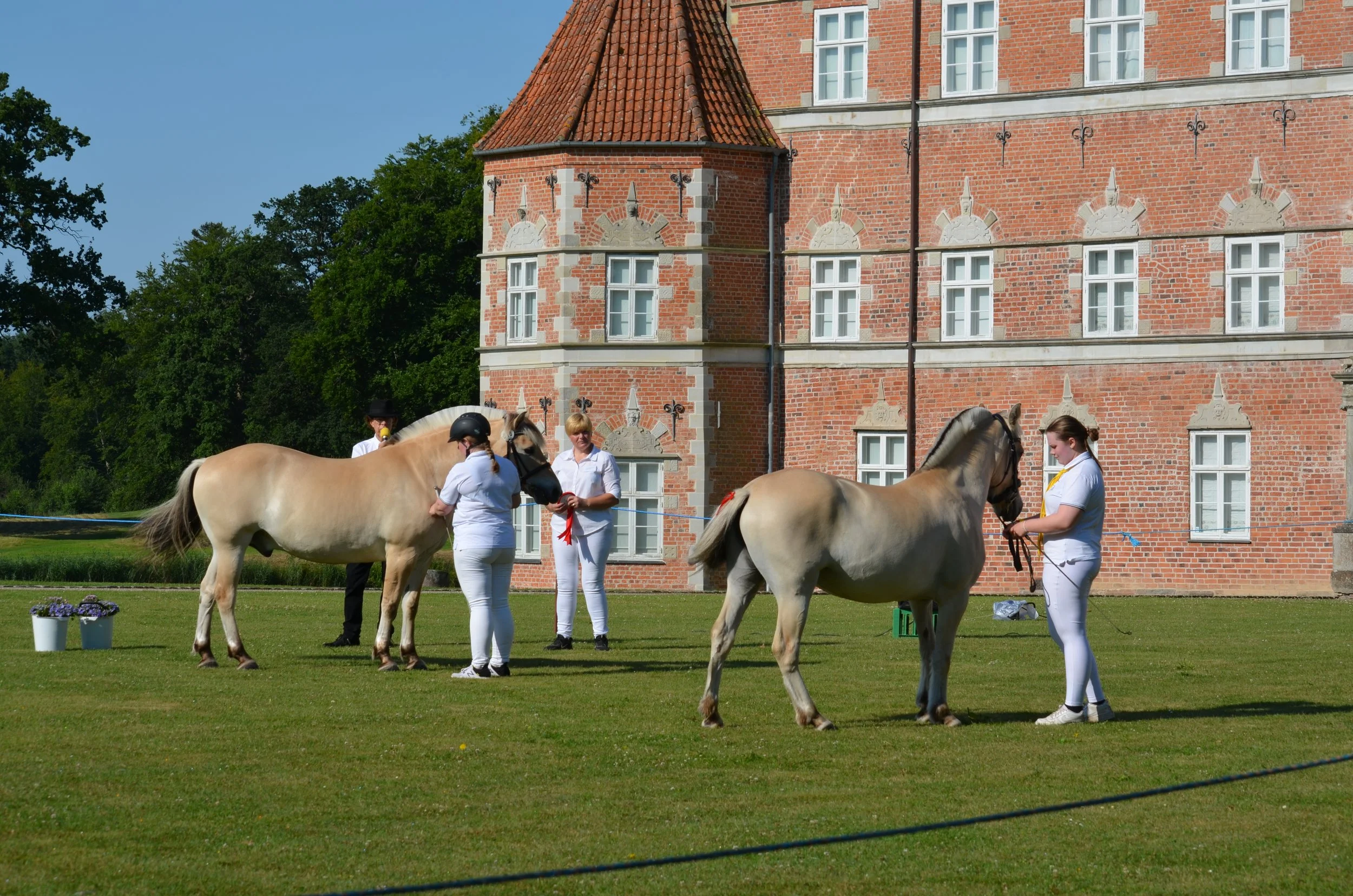 DSC_3707.JPG