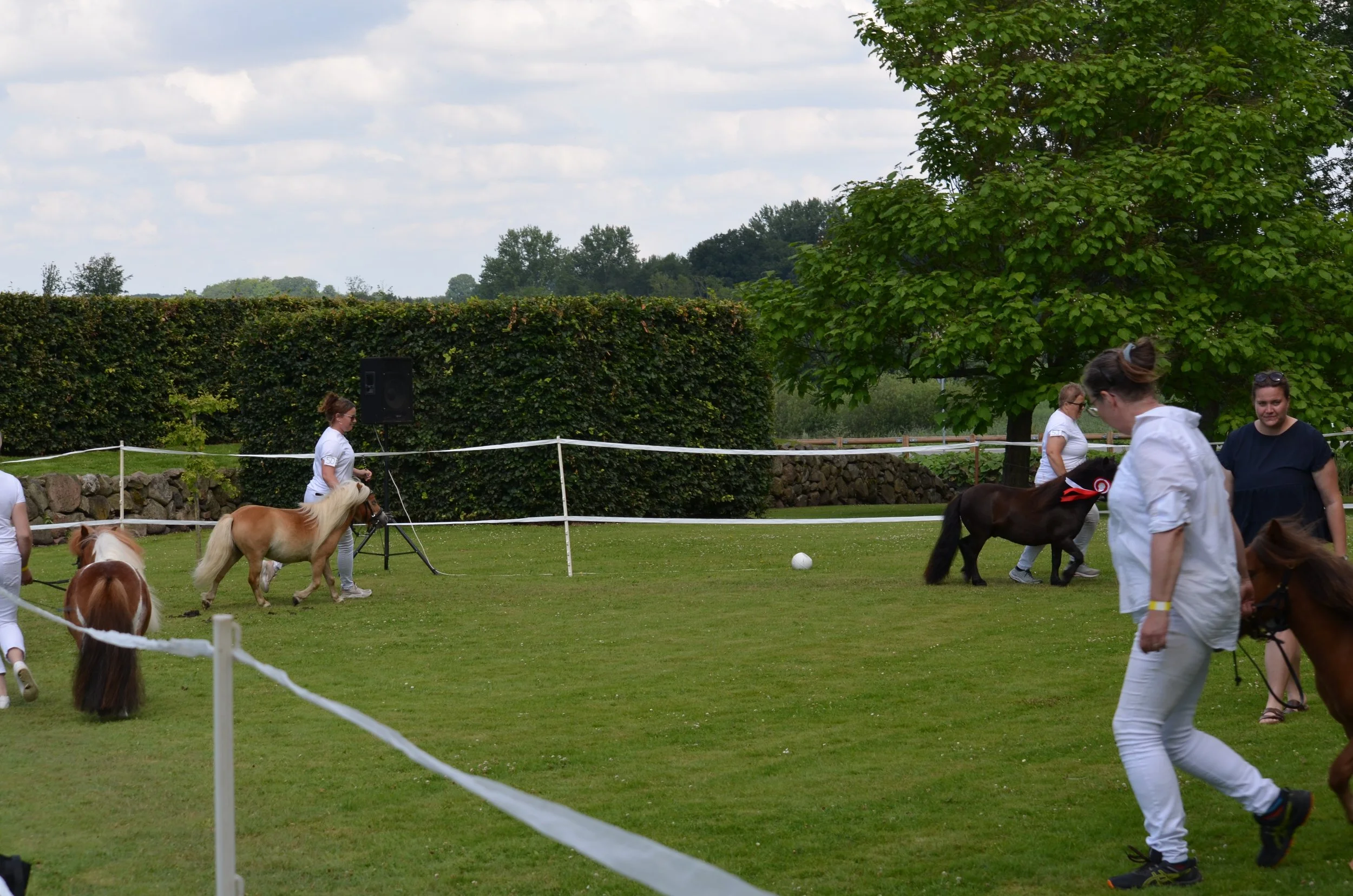 DSC_3823.JPG