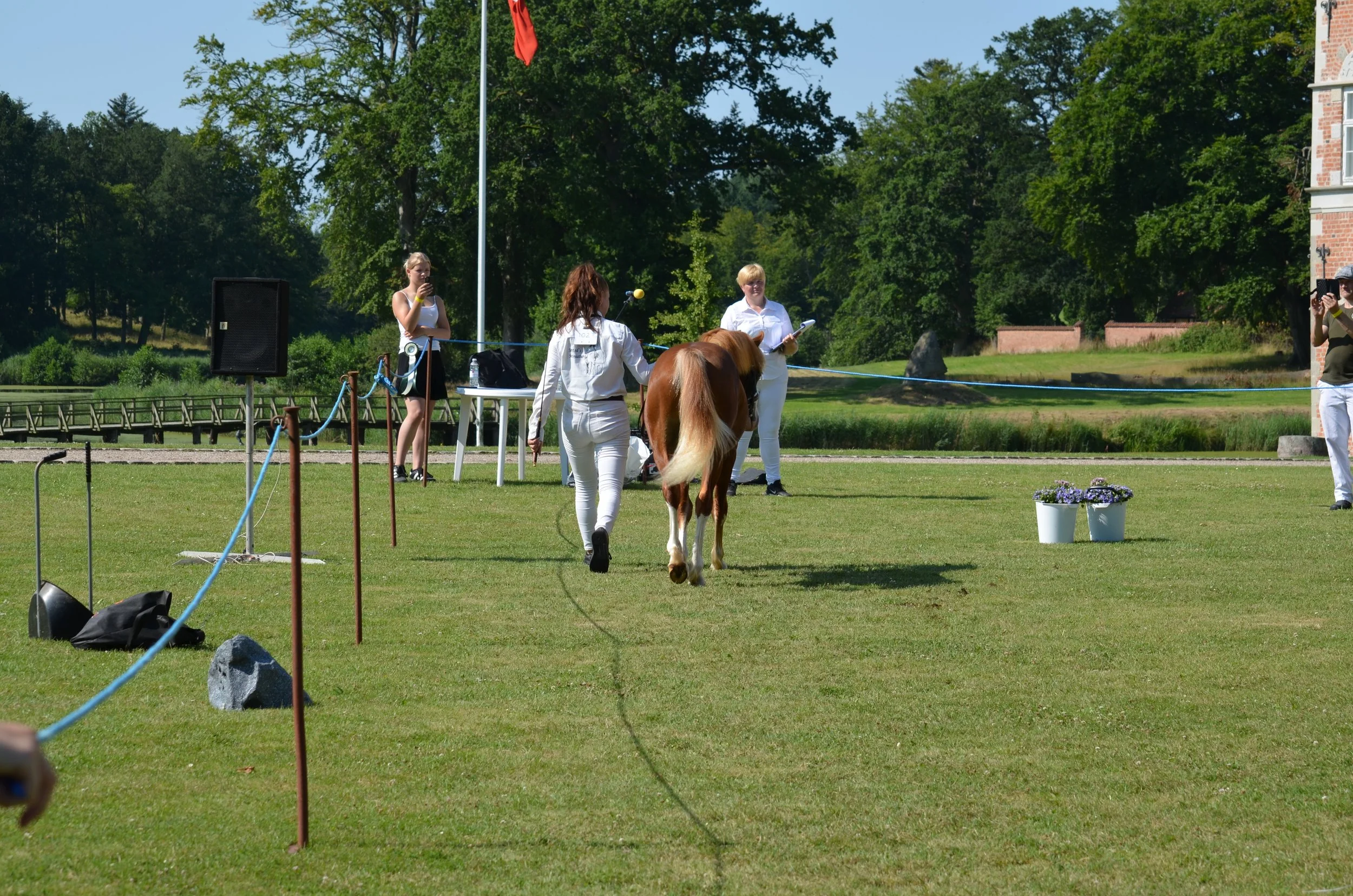 DSC_3798.JPG
