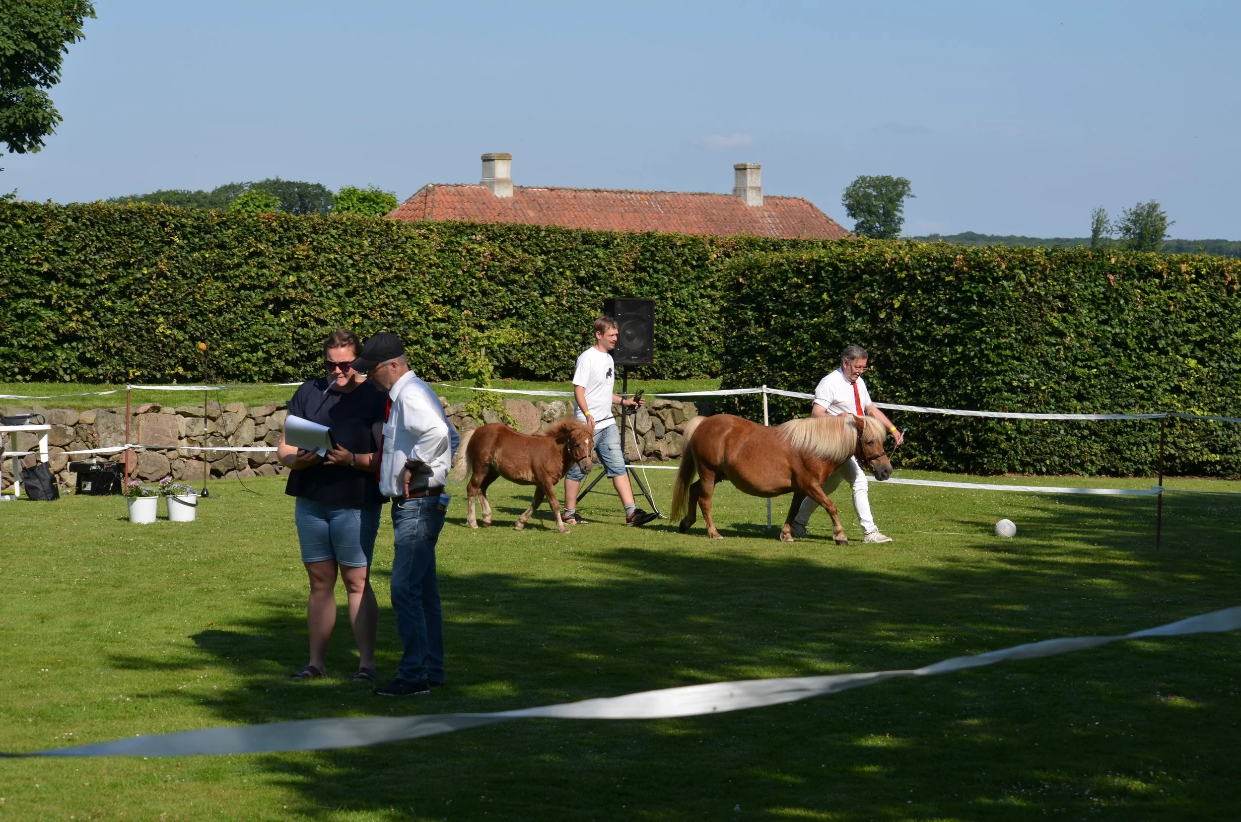 DSC_3754.JPG