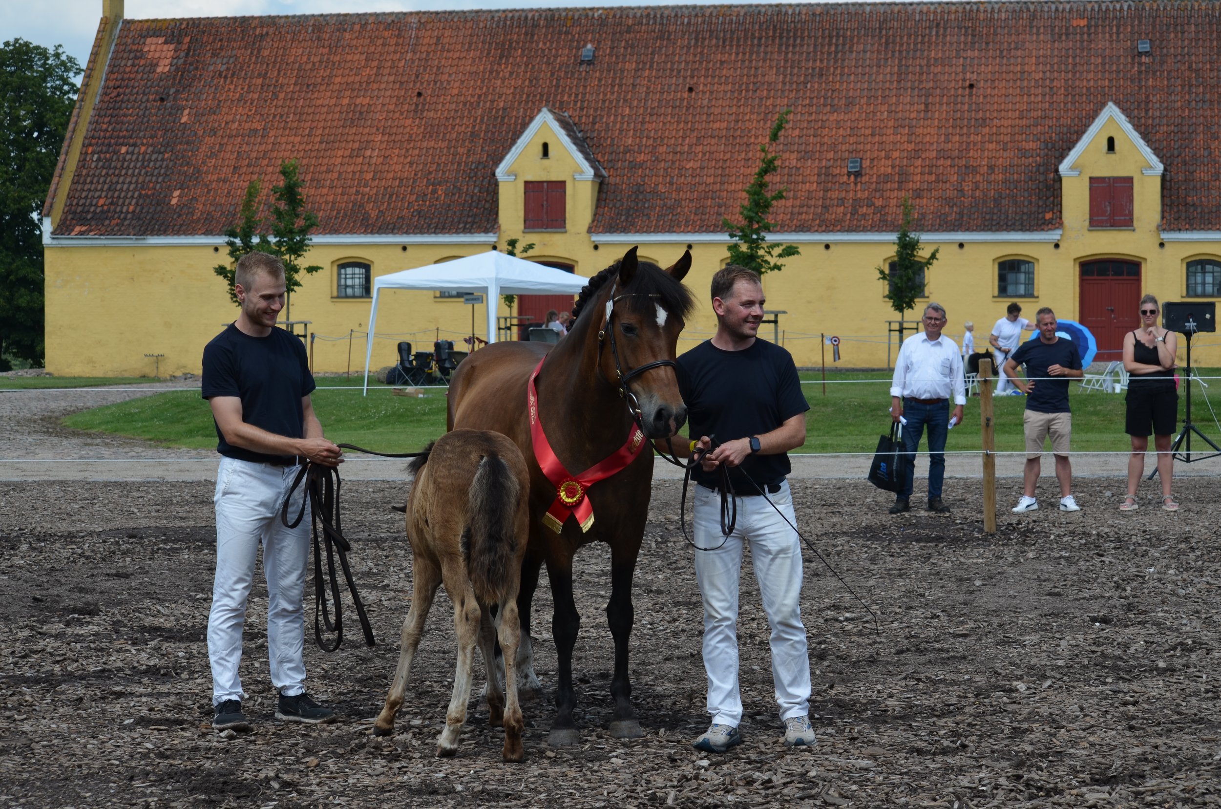 DSC_3874.JPG