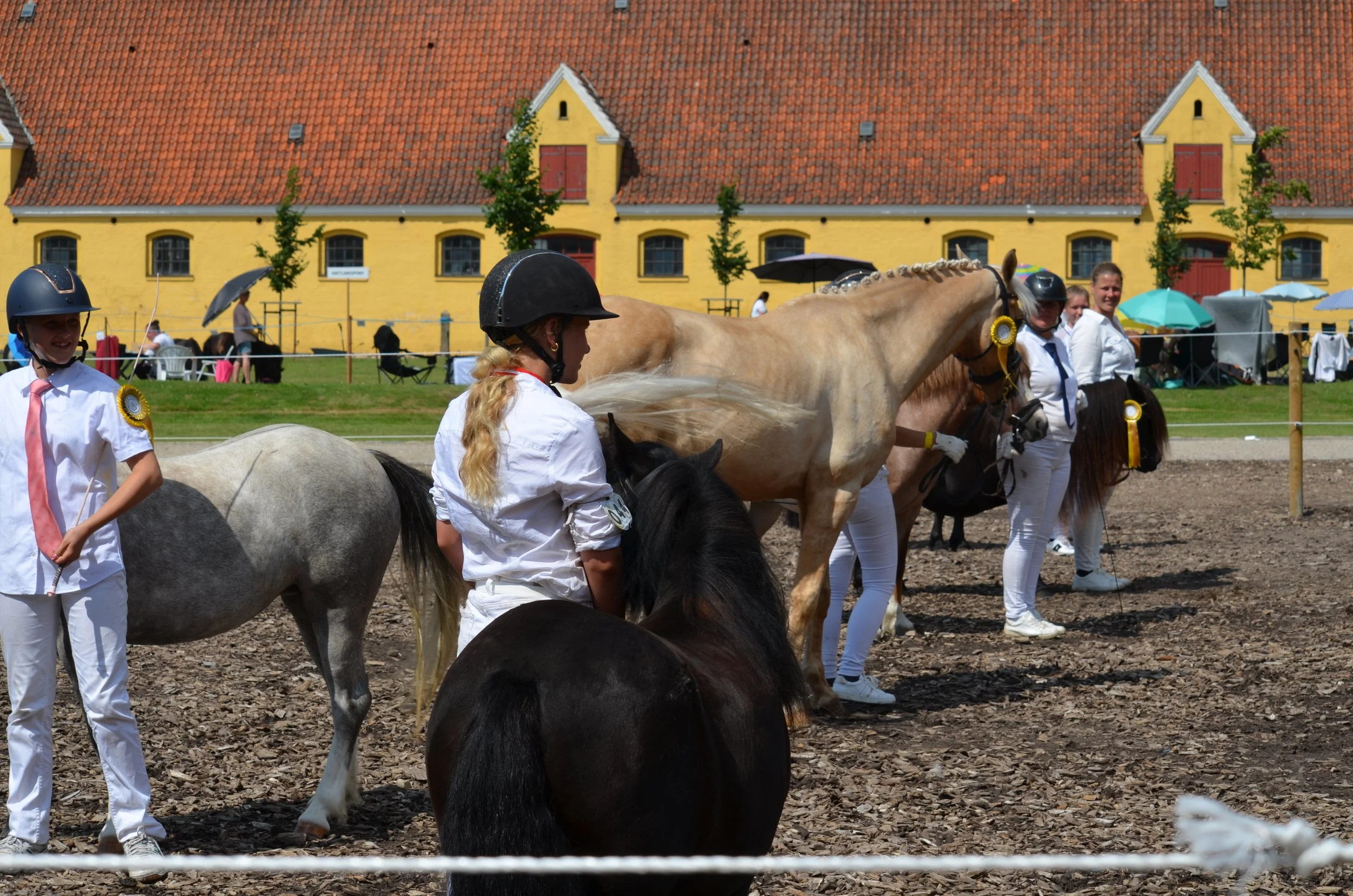 DSC_3944.JPG
