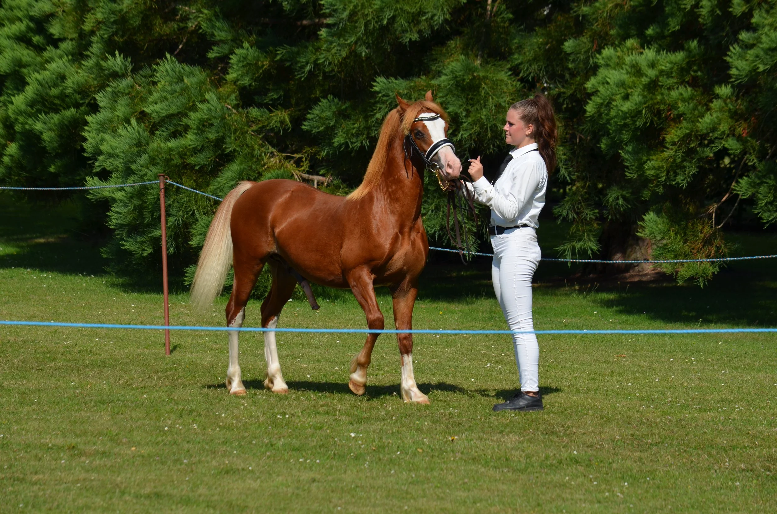 DSC_3816.JPG