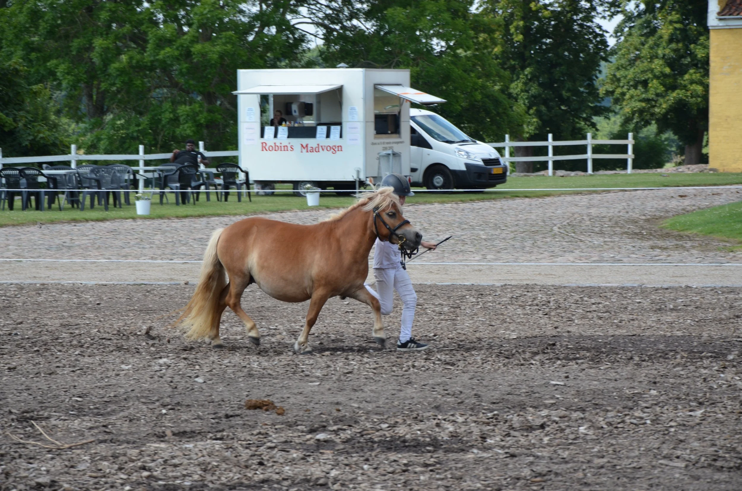 DSC_3994.JPG