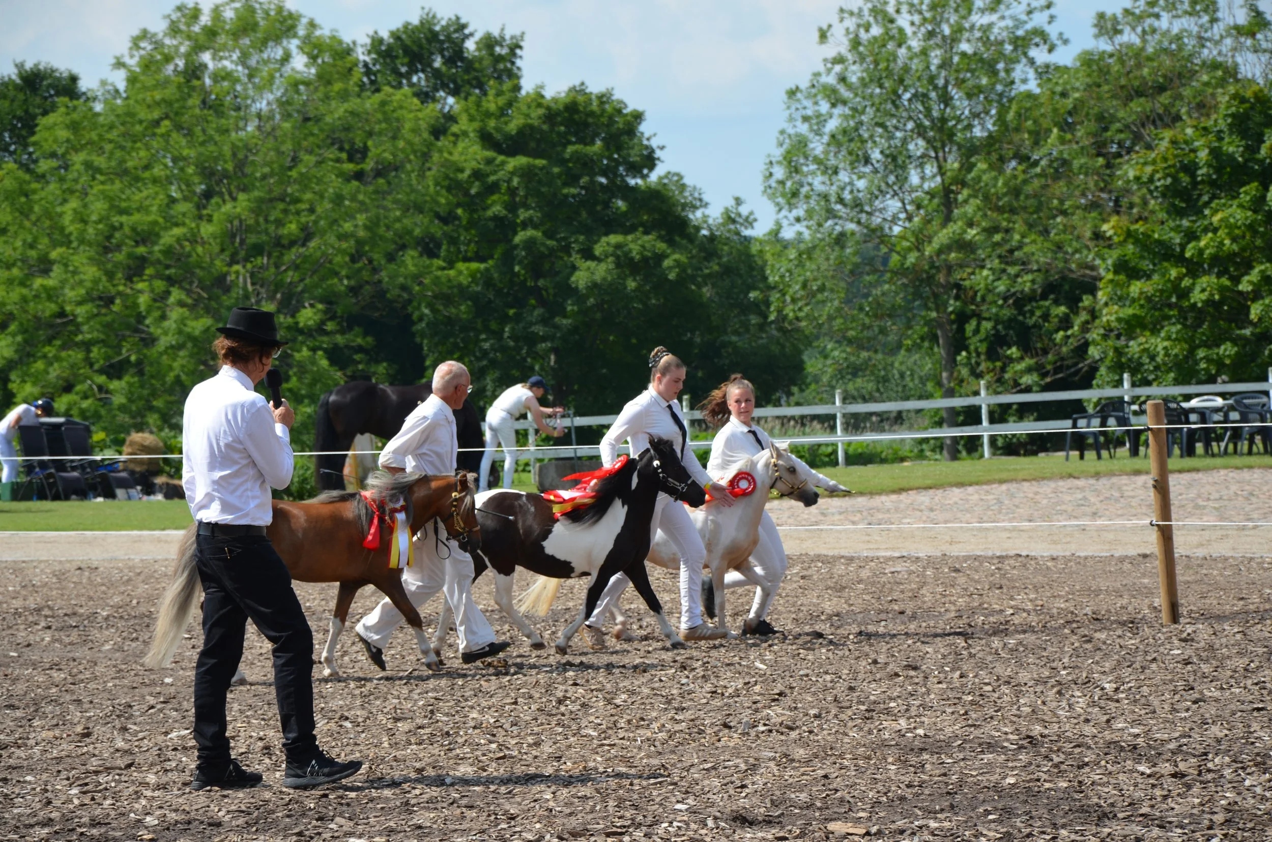 DSC_3951.JPG