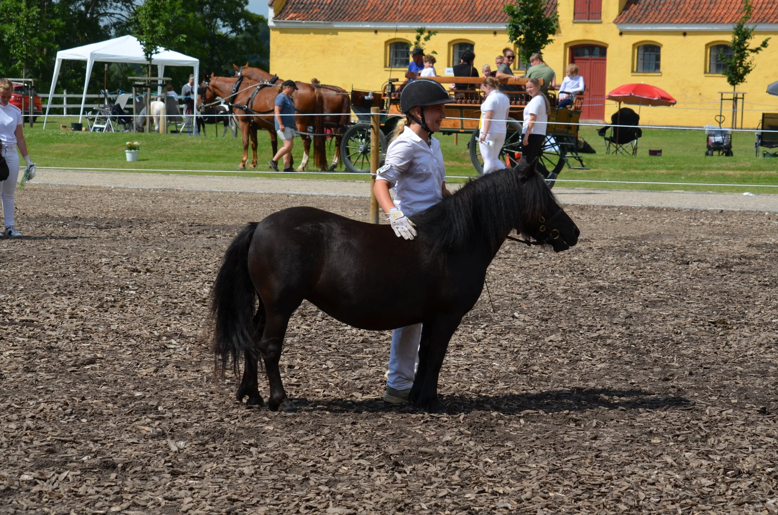 DSC_3938.JPG