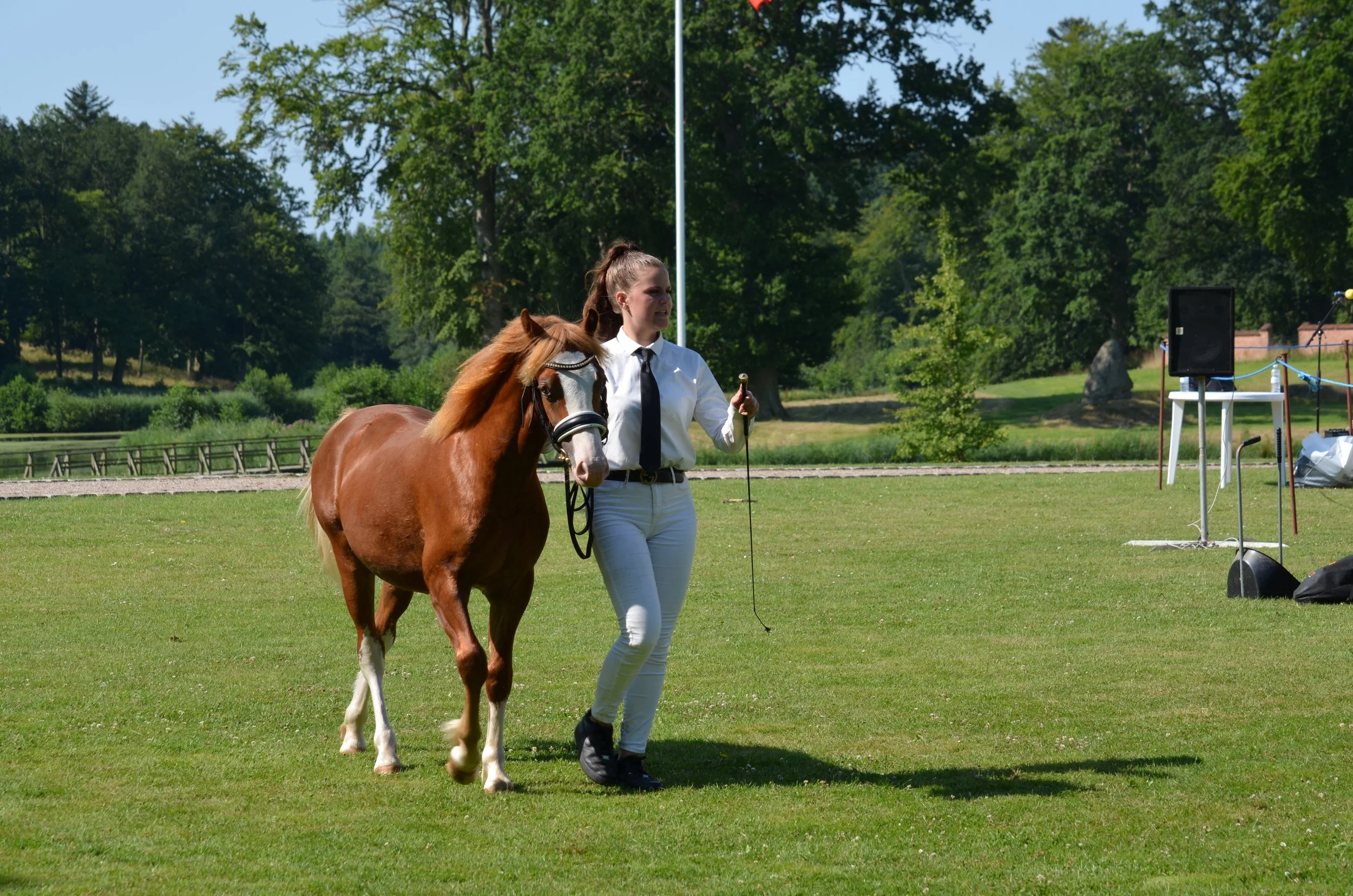 DSC_3793.JPG