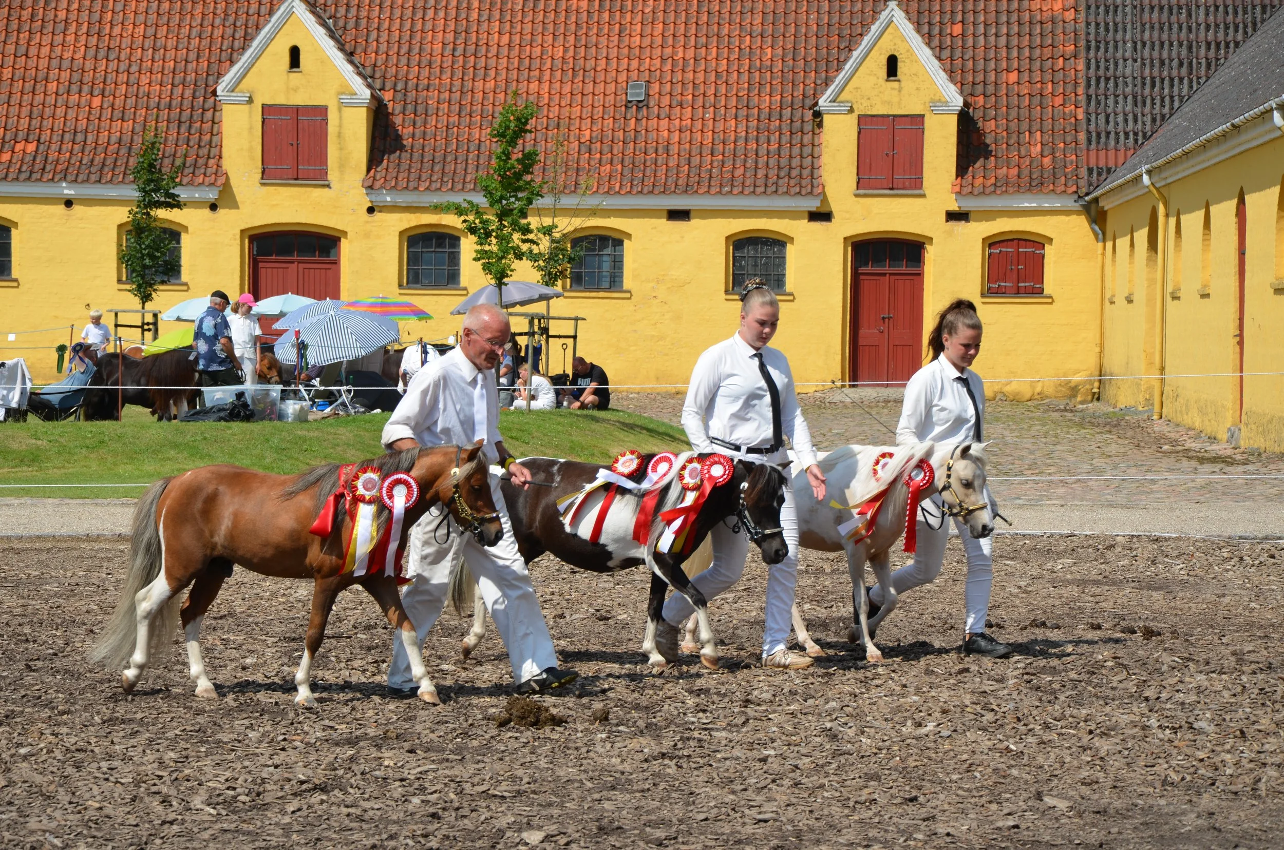DSC_3950.JPG