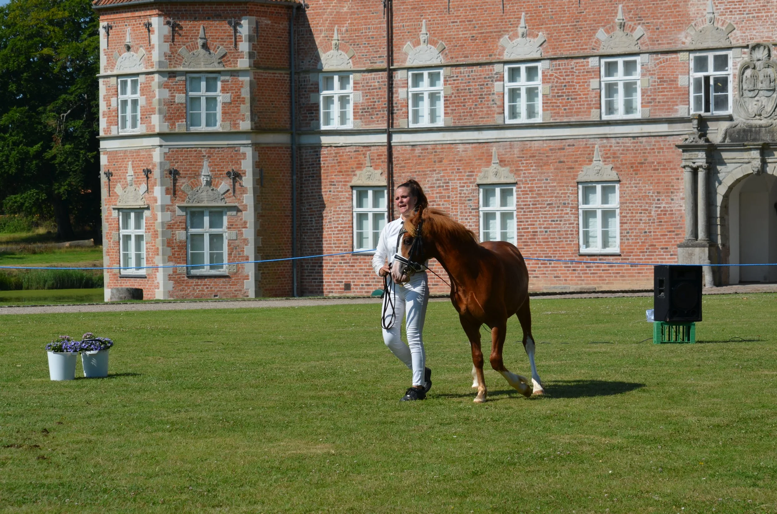 DSC_3806.JPG