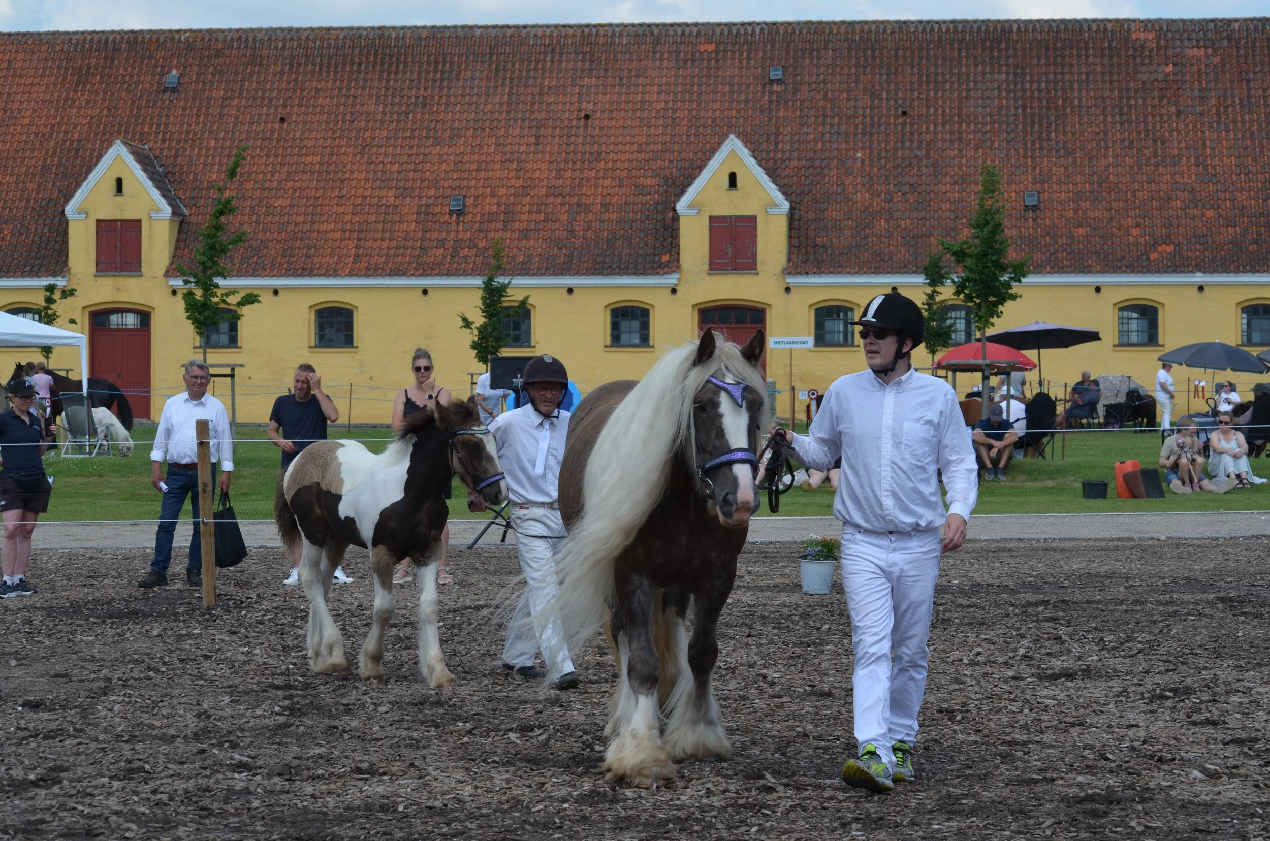 DSC_3871.JPG