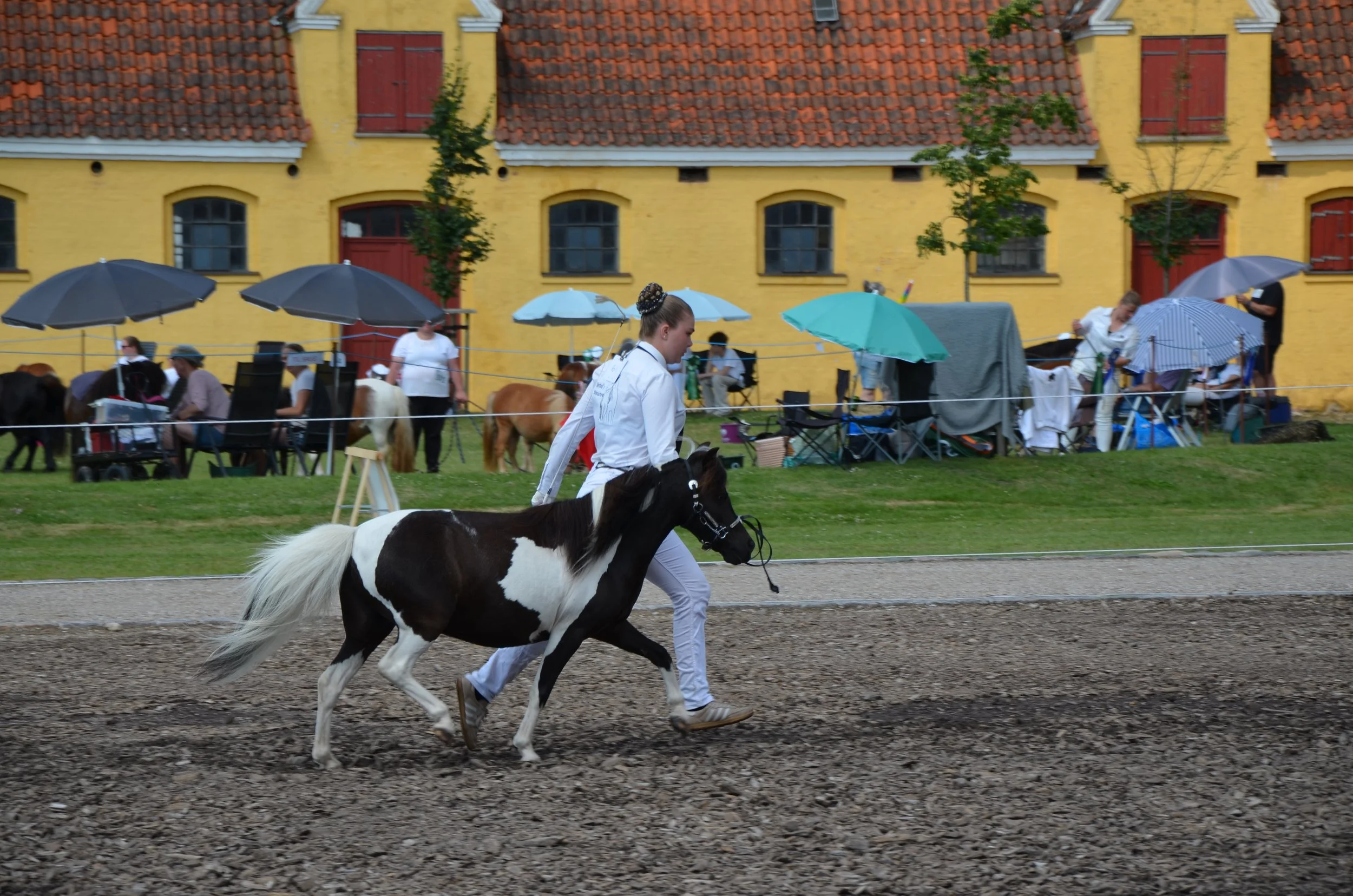DSC_3998.JPG