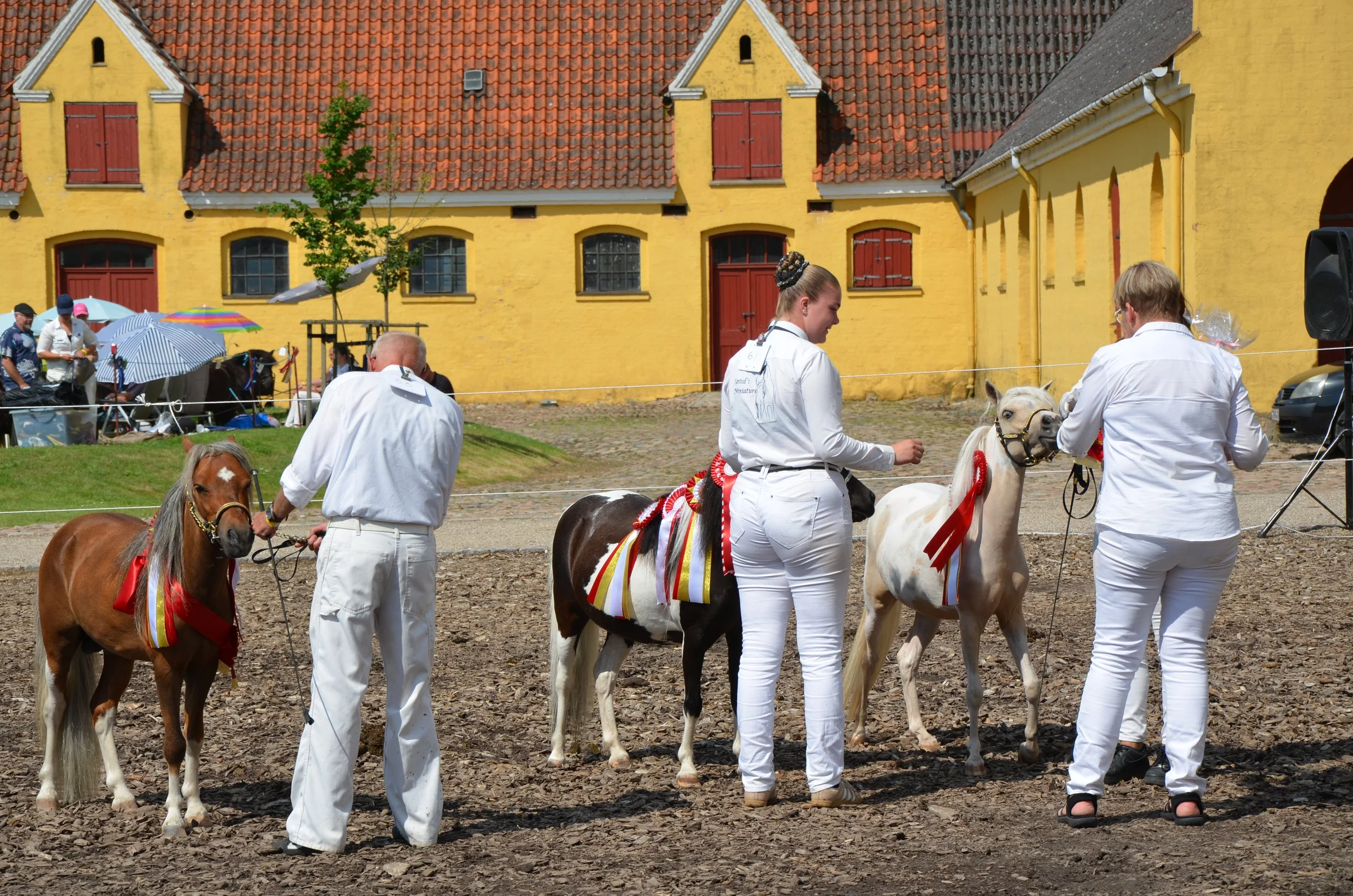 DSC_3964.JPG