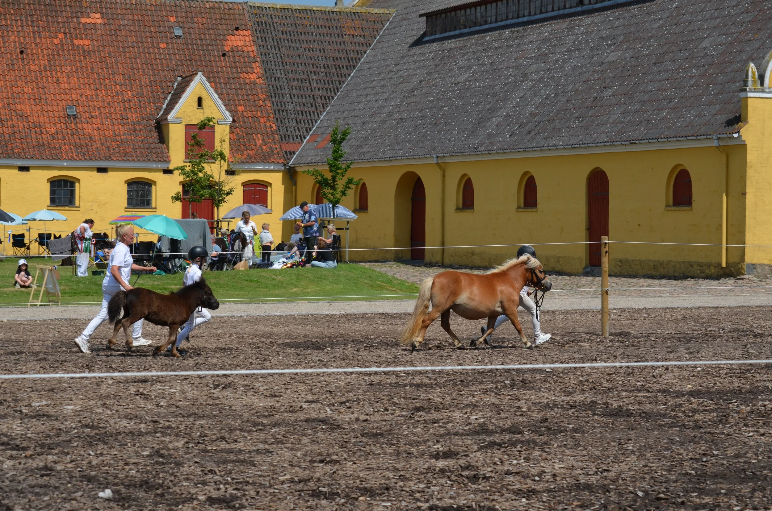 DSC_3868.JPG