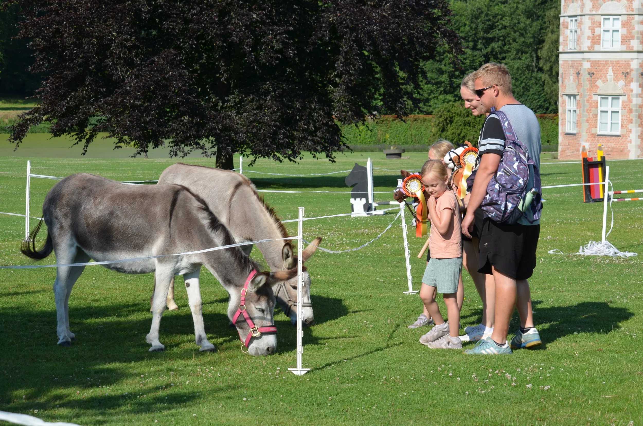 DSC_3710.JPG