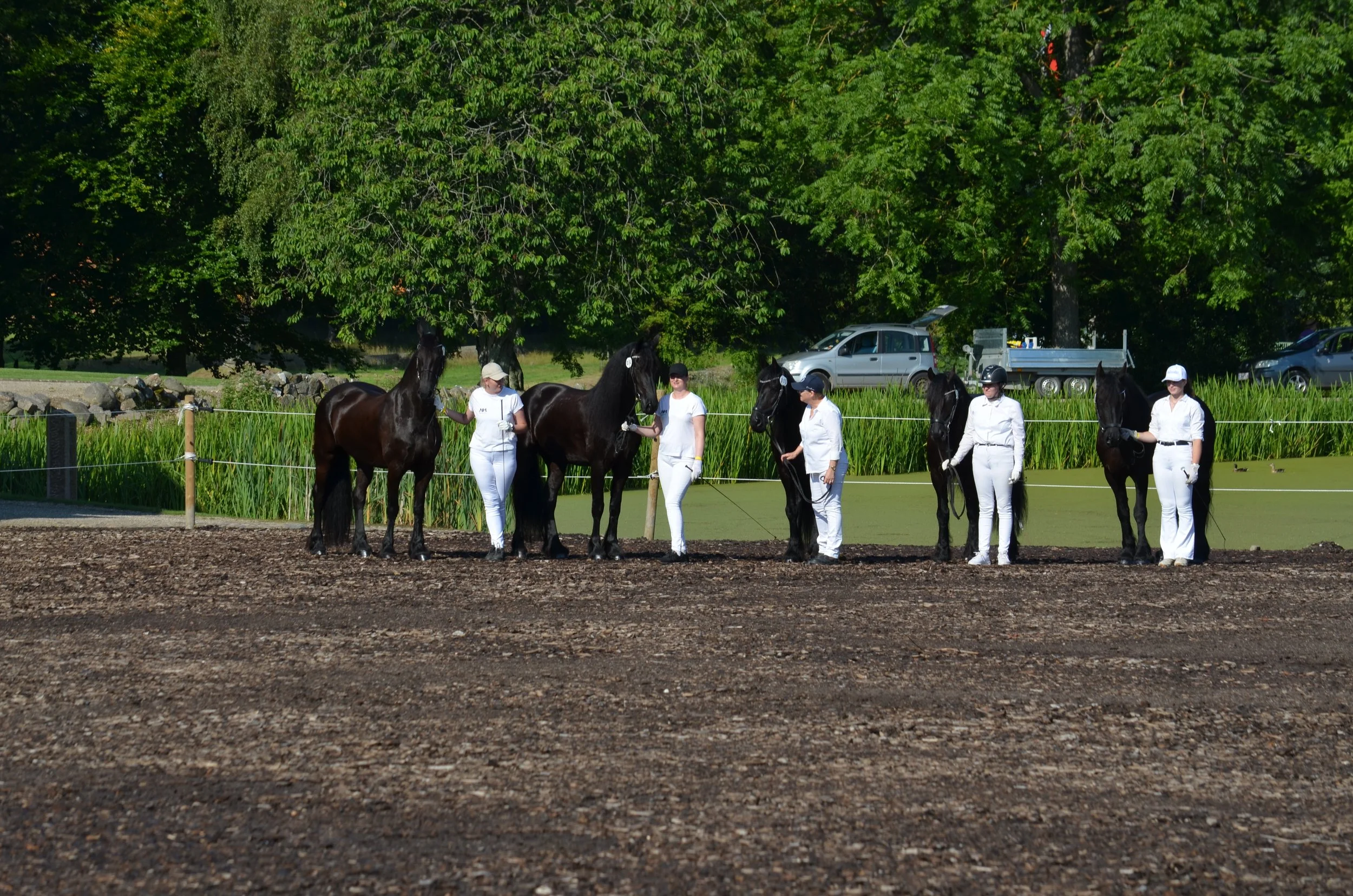 DSC_3719.JPG