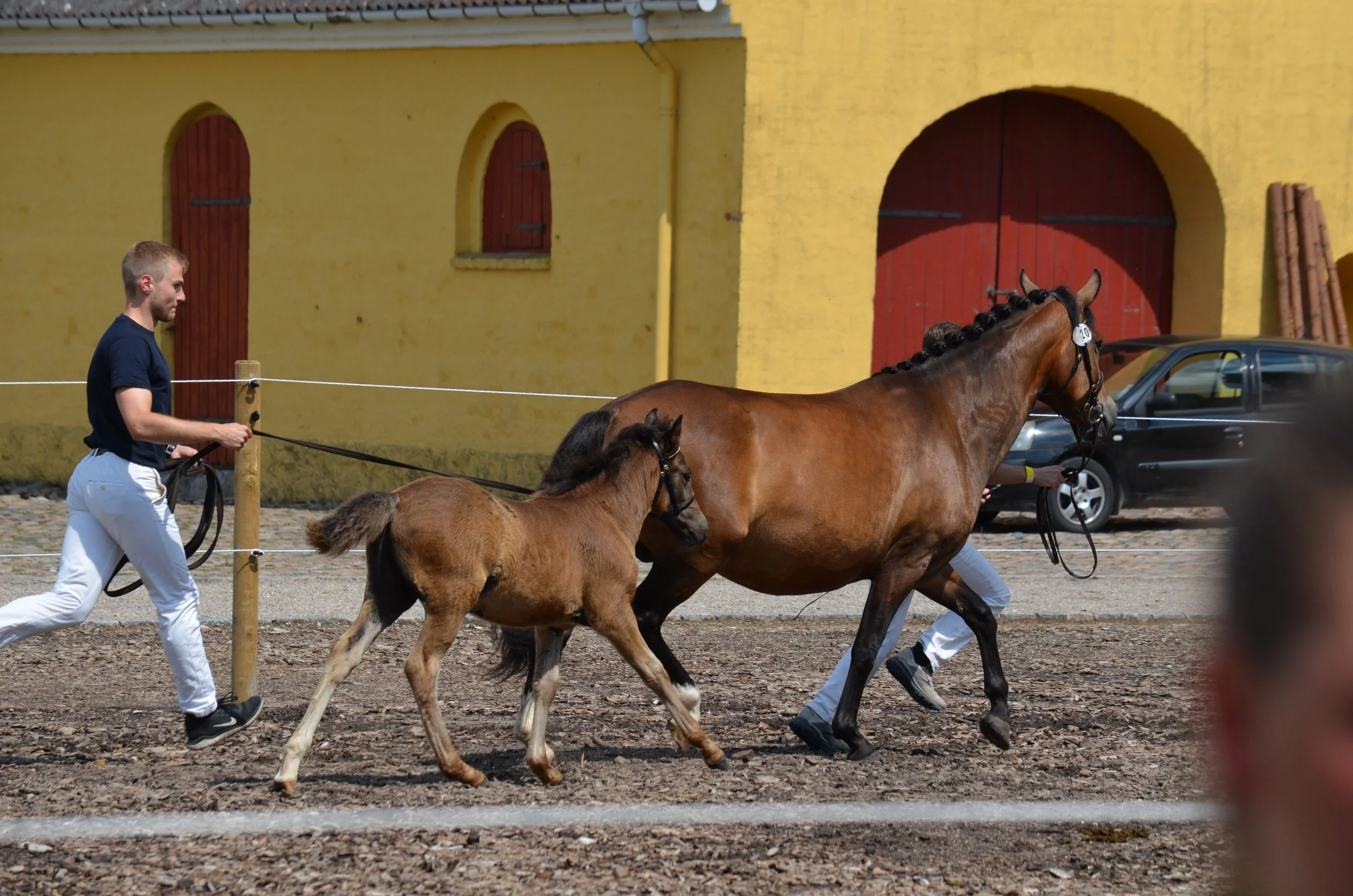 DSC_3866.JPG