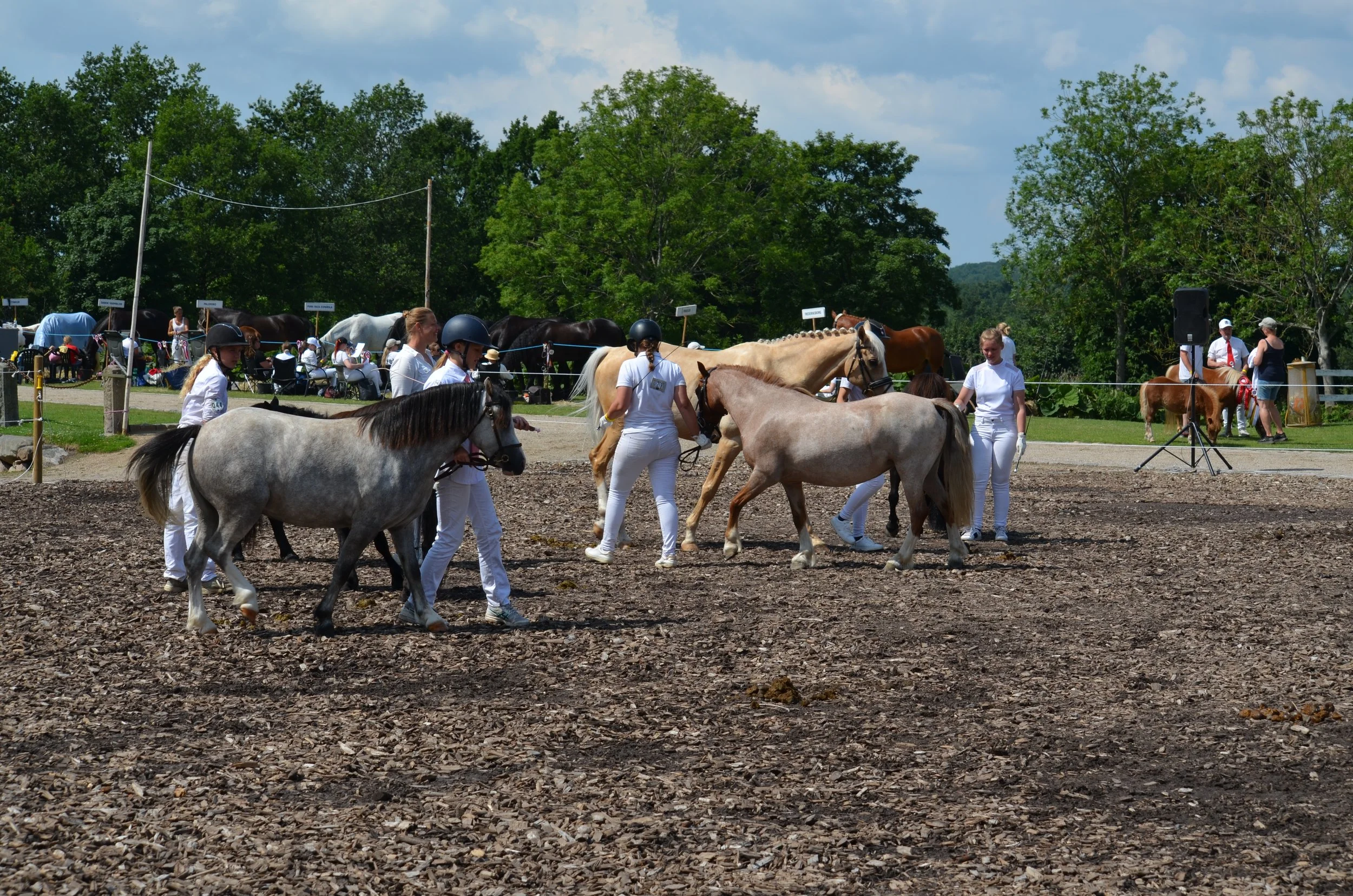 DSC_3932.JPG