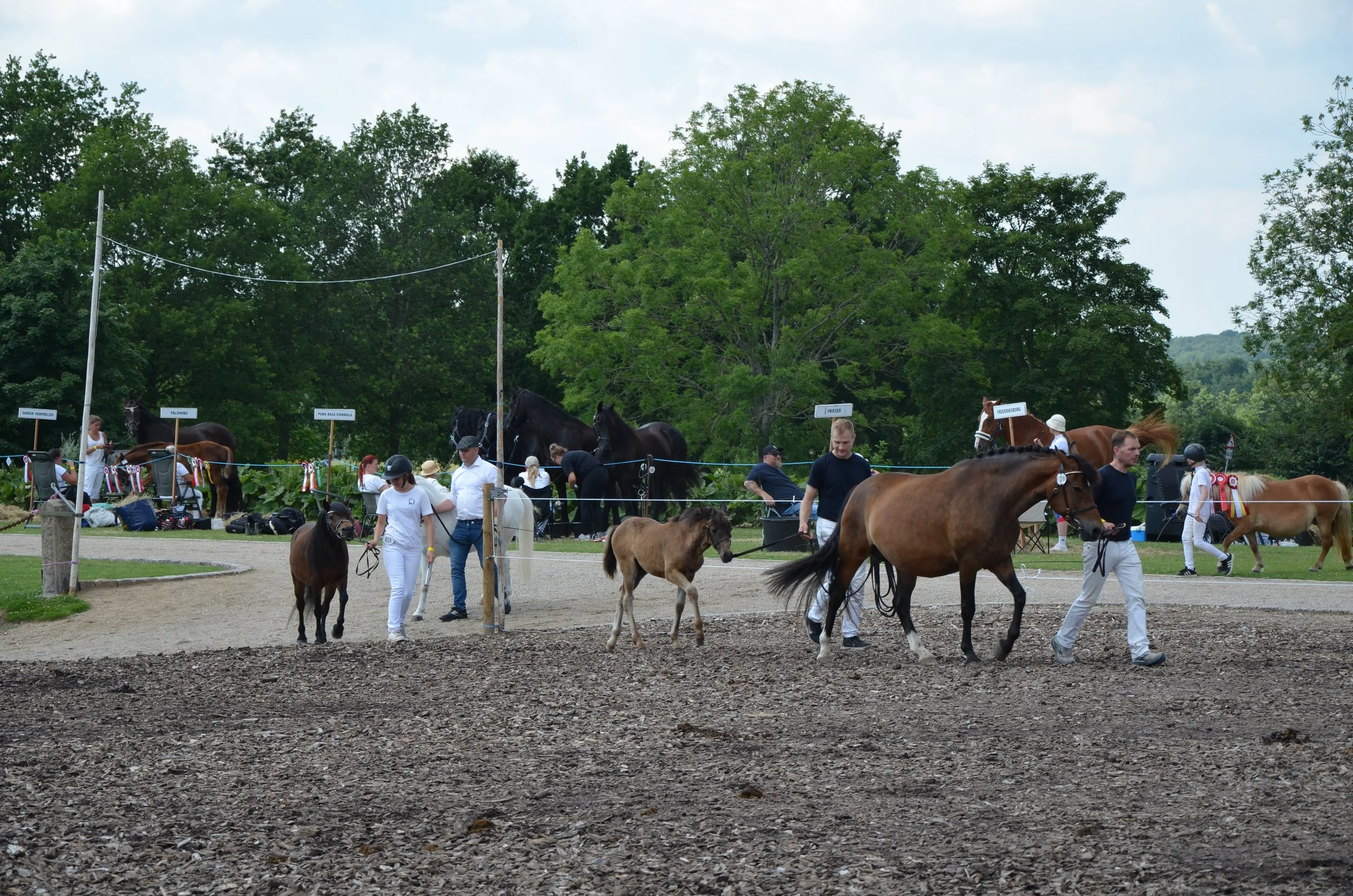 DSC_3982.JPG
