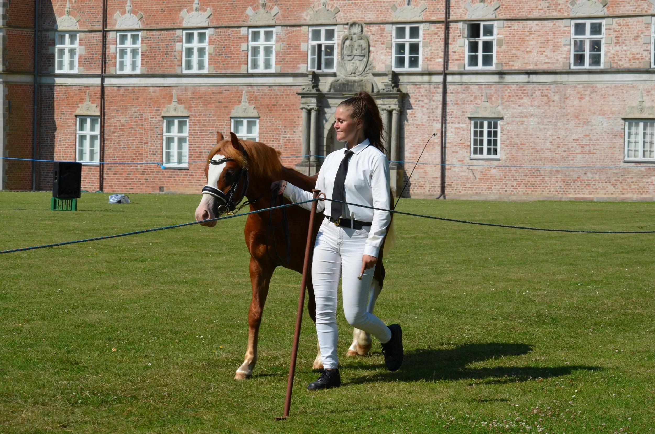 DSC_3800.JPG