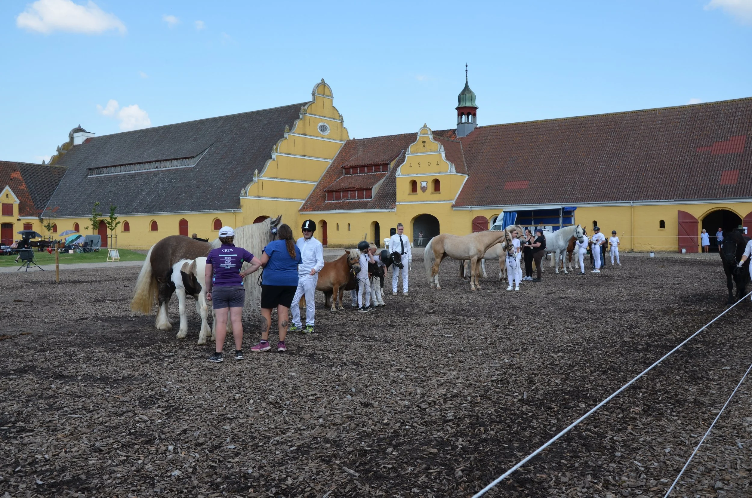 DSC_4003.JPG