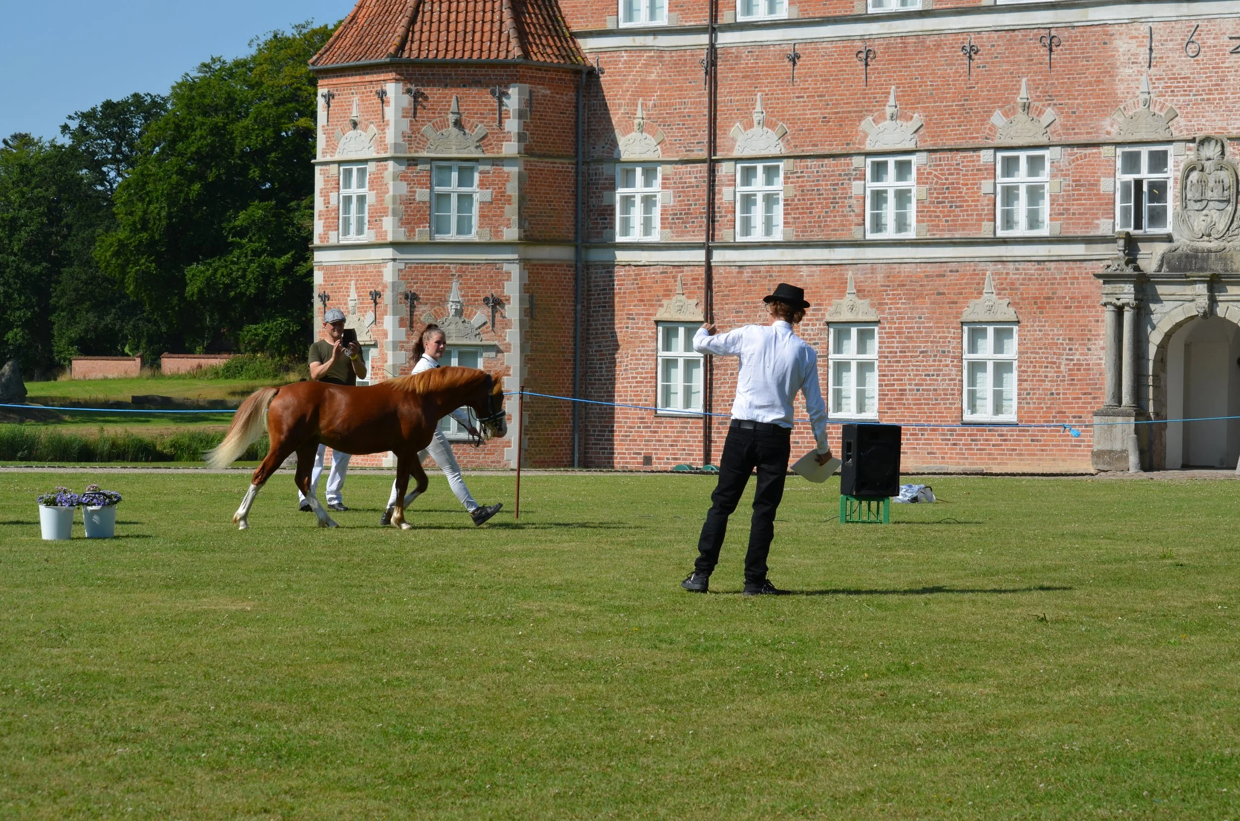 DSC_3799.JPG