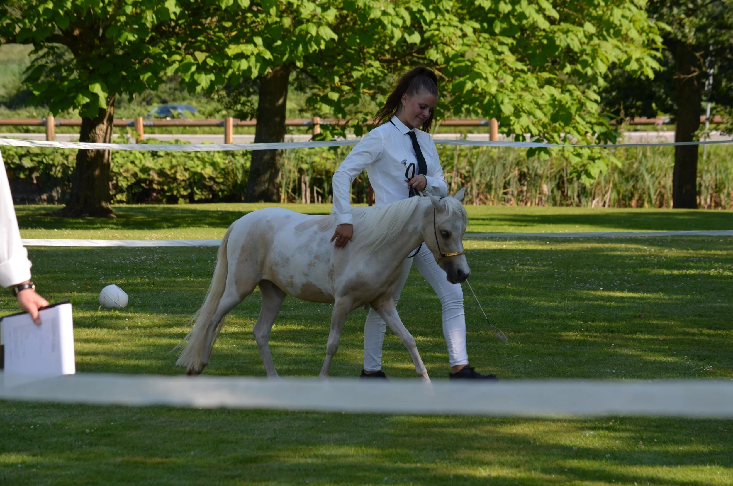 DSC_3732.JPG