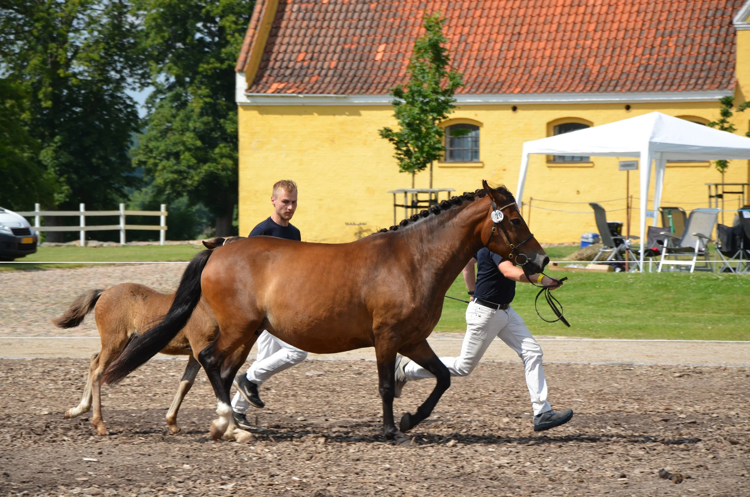 DSC_3987.JPG