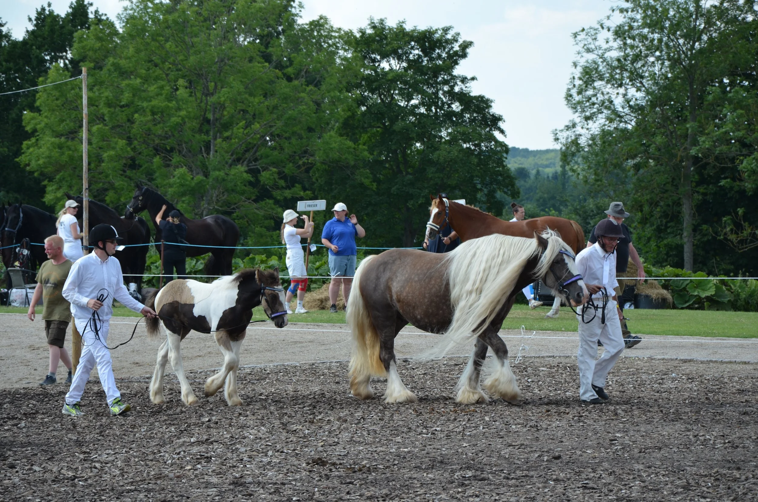 DSC_4024.JPG
