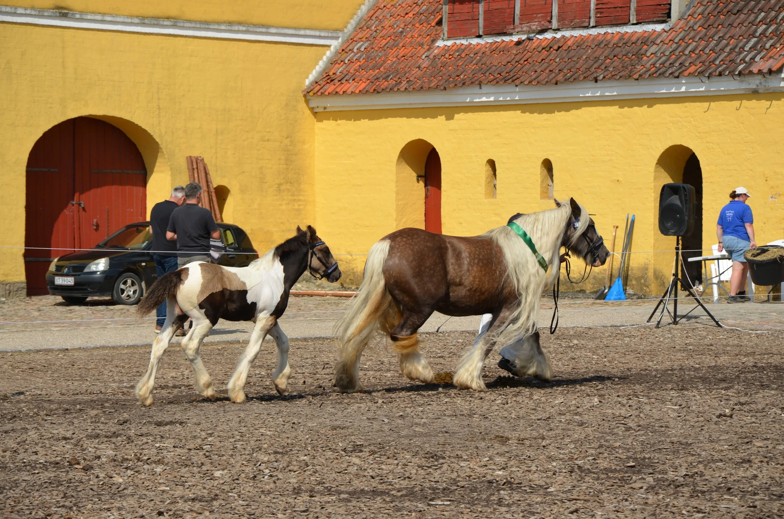 DSC_4031.JPG