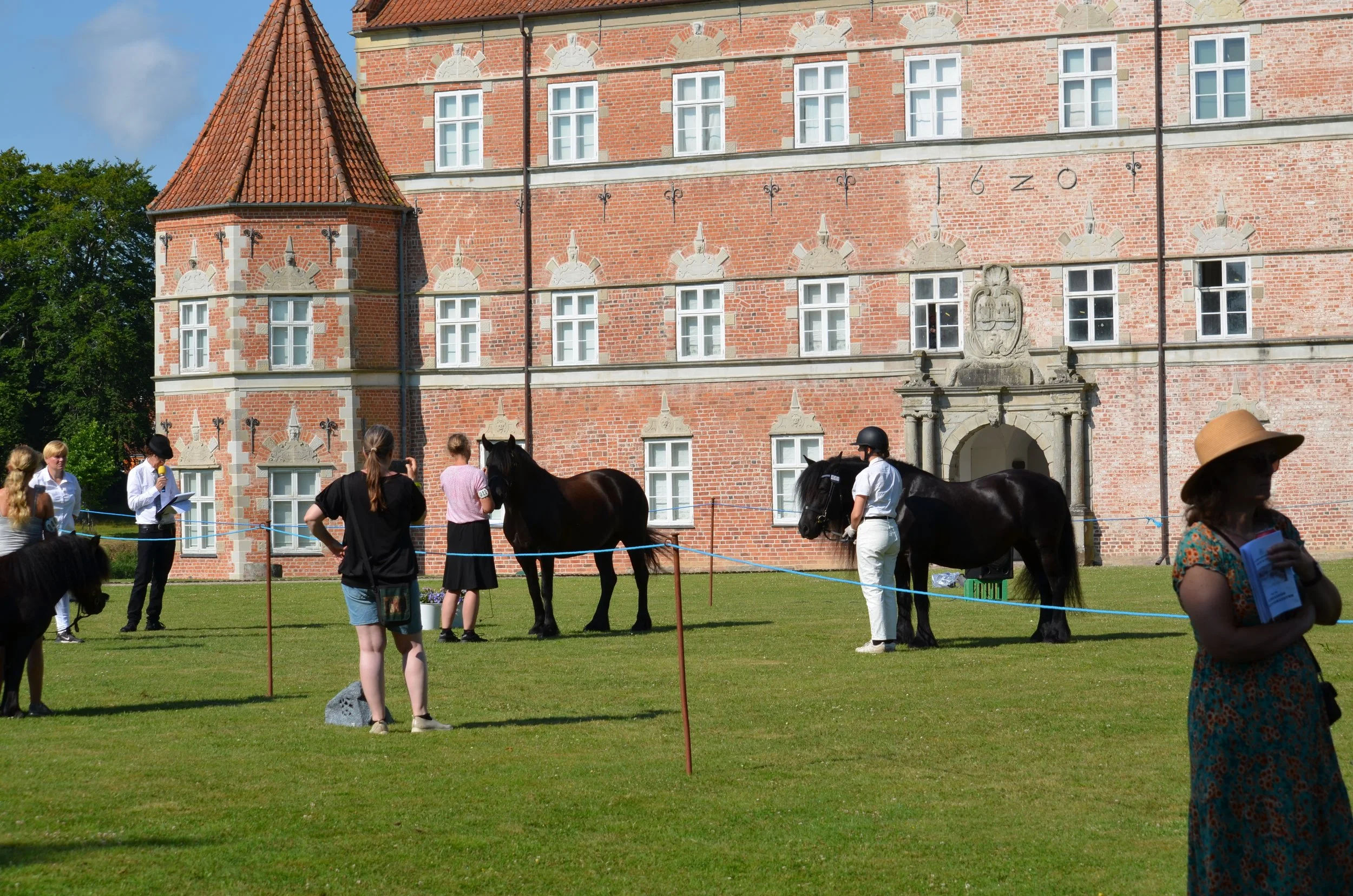 DSC_3756.JPG