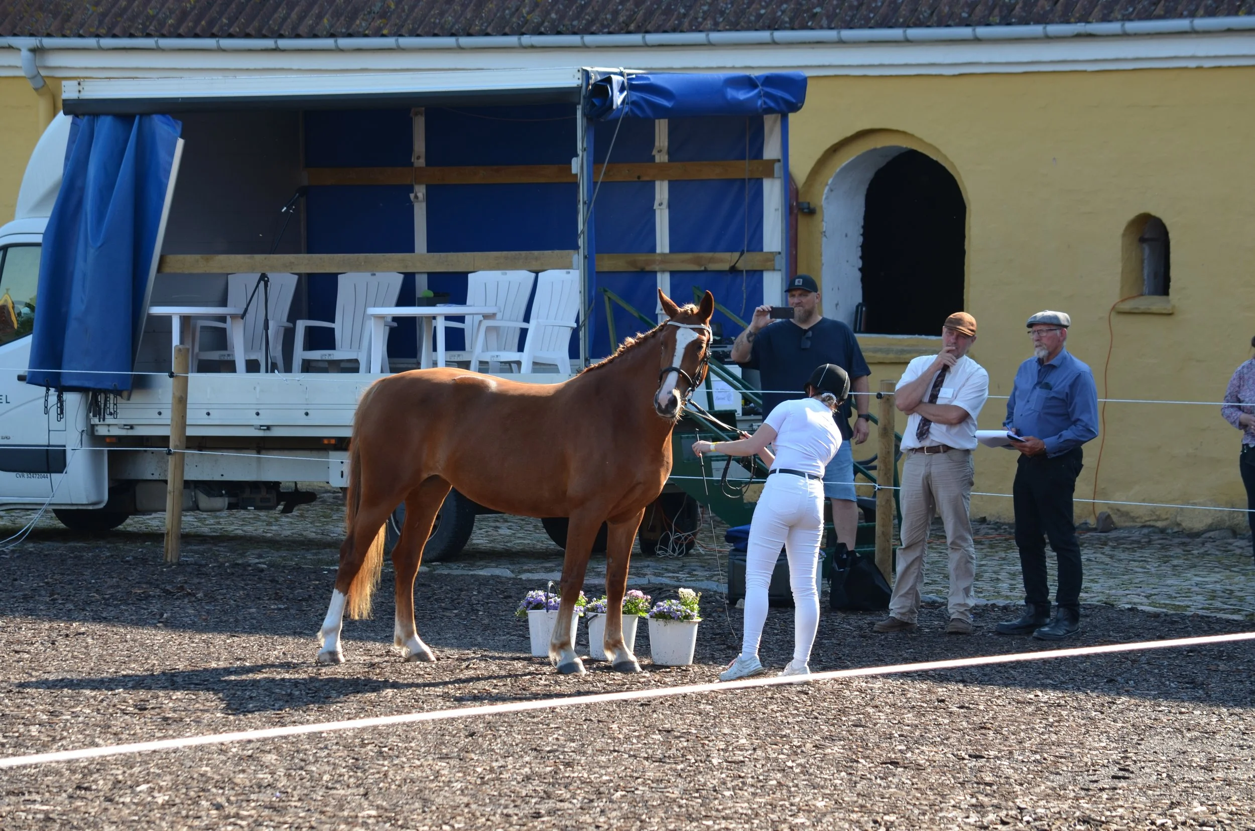 DSC_3696.JPG