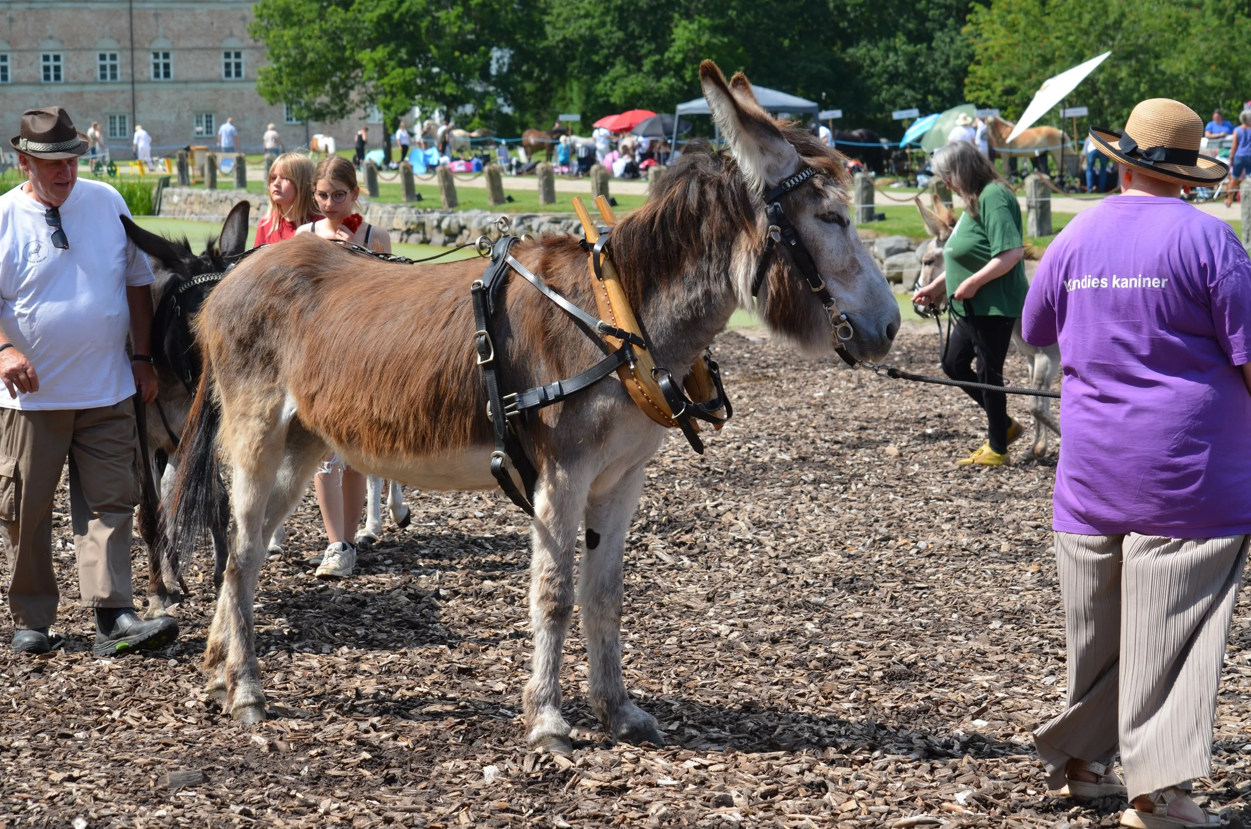 DSC_3900.JPG