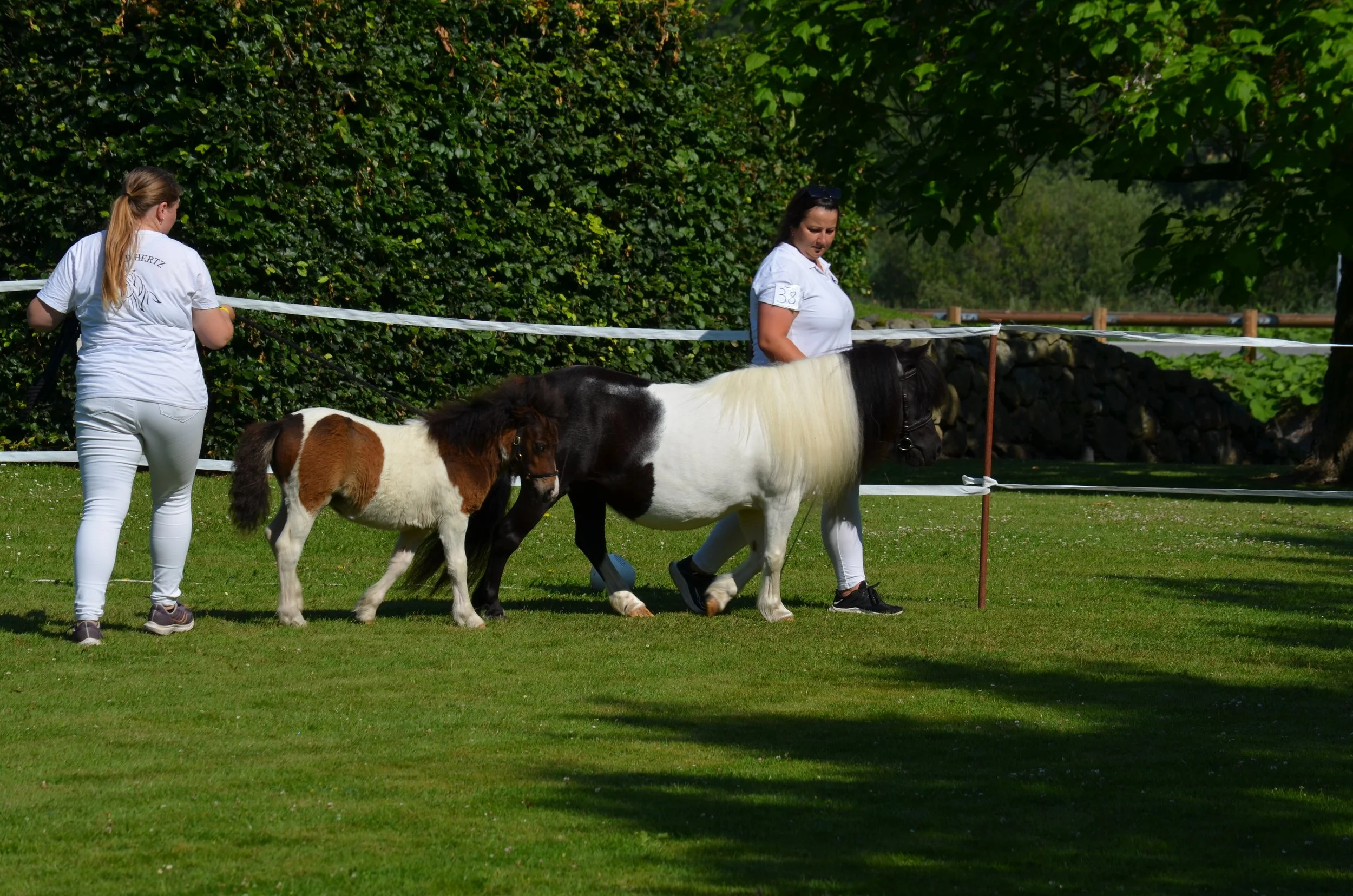 DSC_3785.JPG