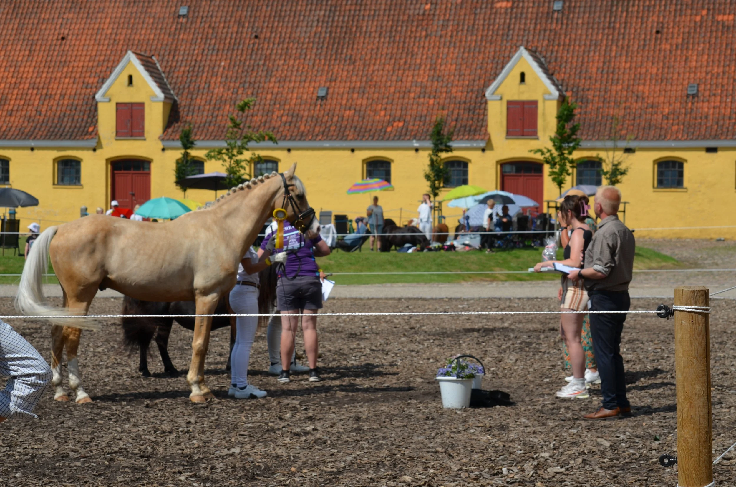 DSC_3936.JPG