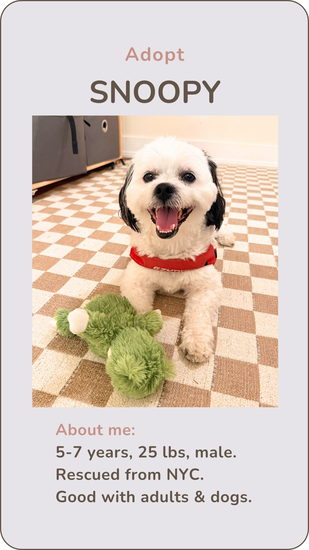 Snoopy