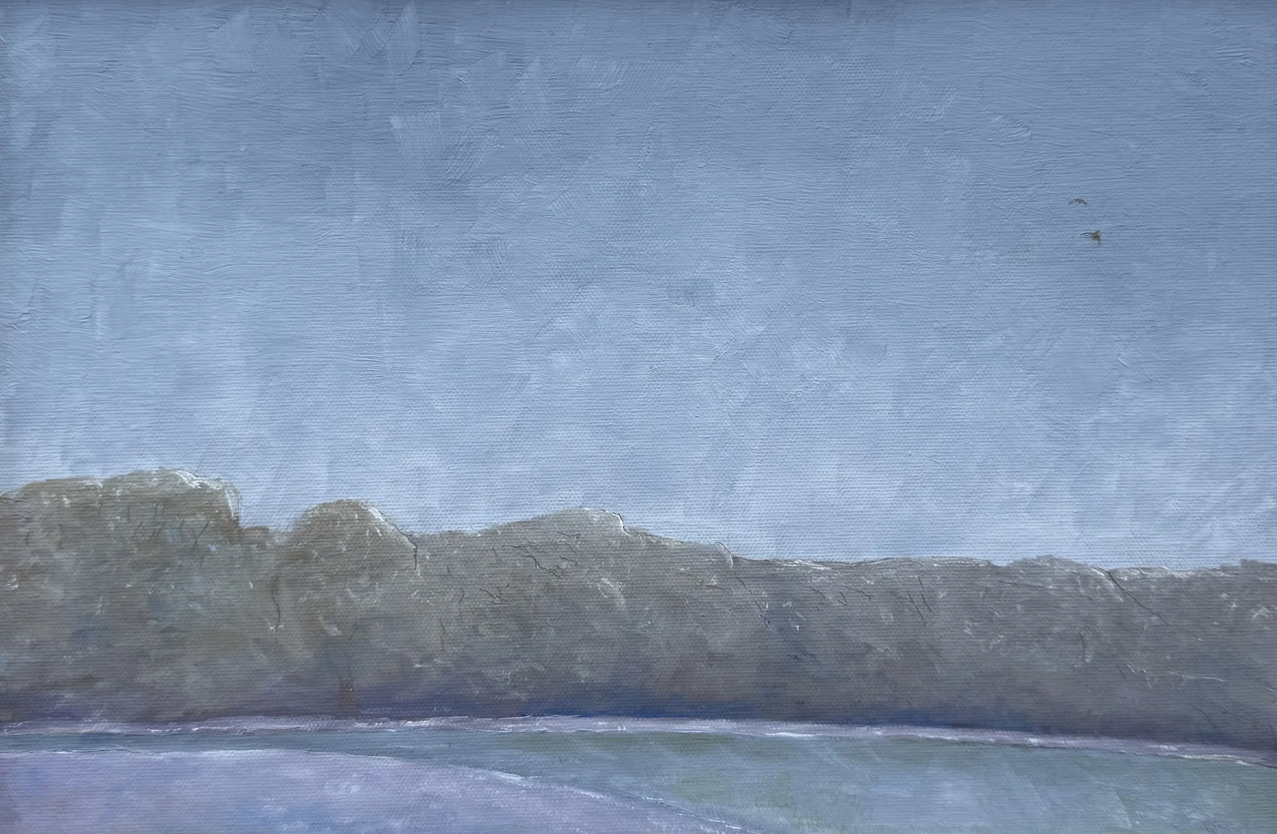 Ice Storm, Steele Bayou