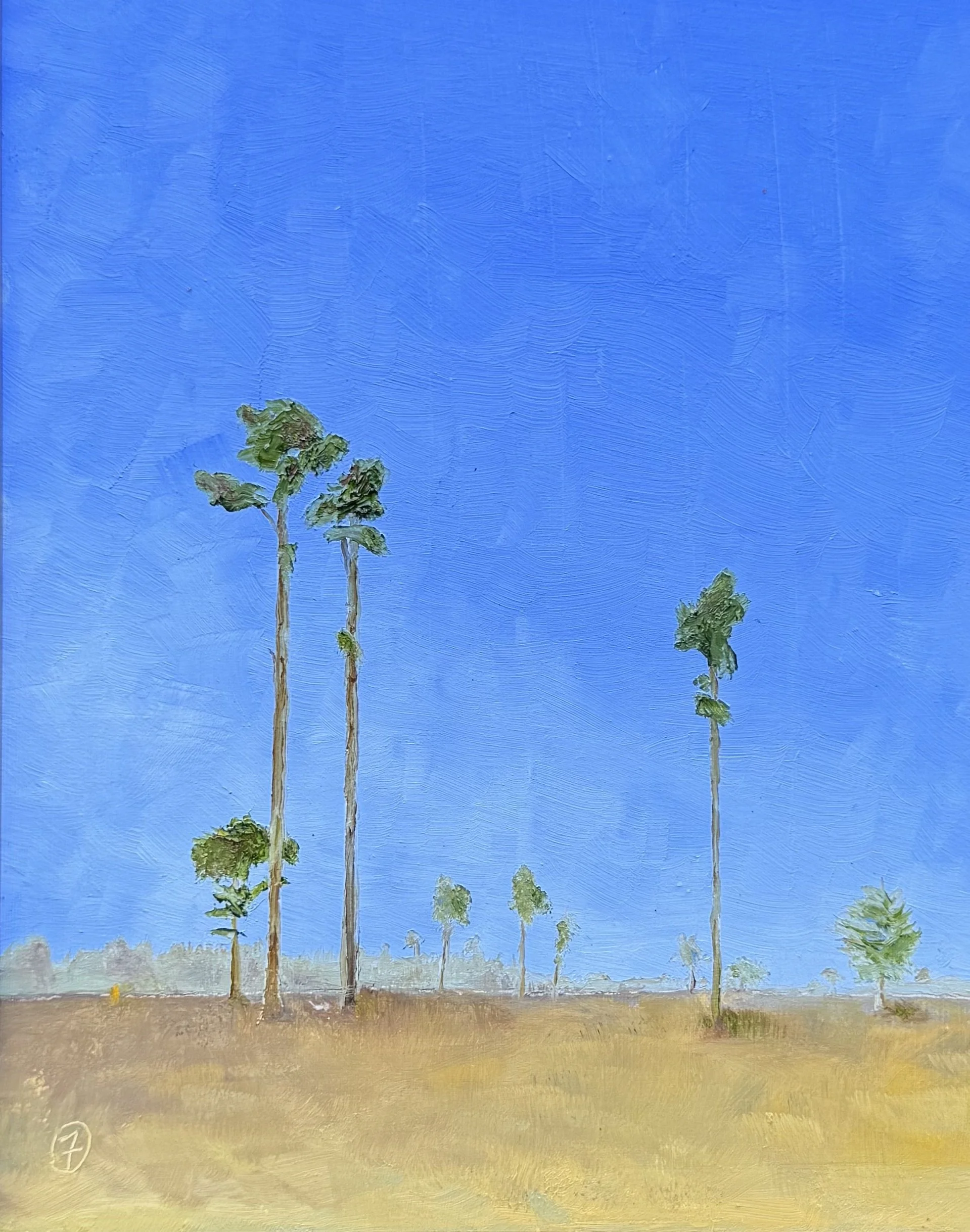 South of Thomasville