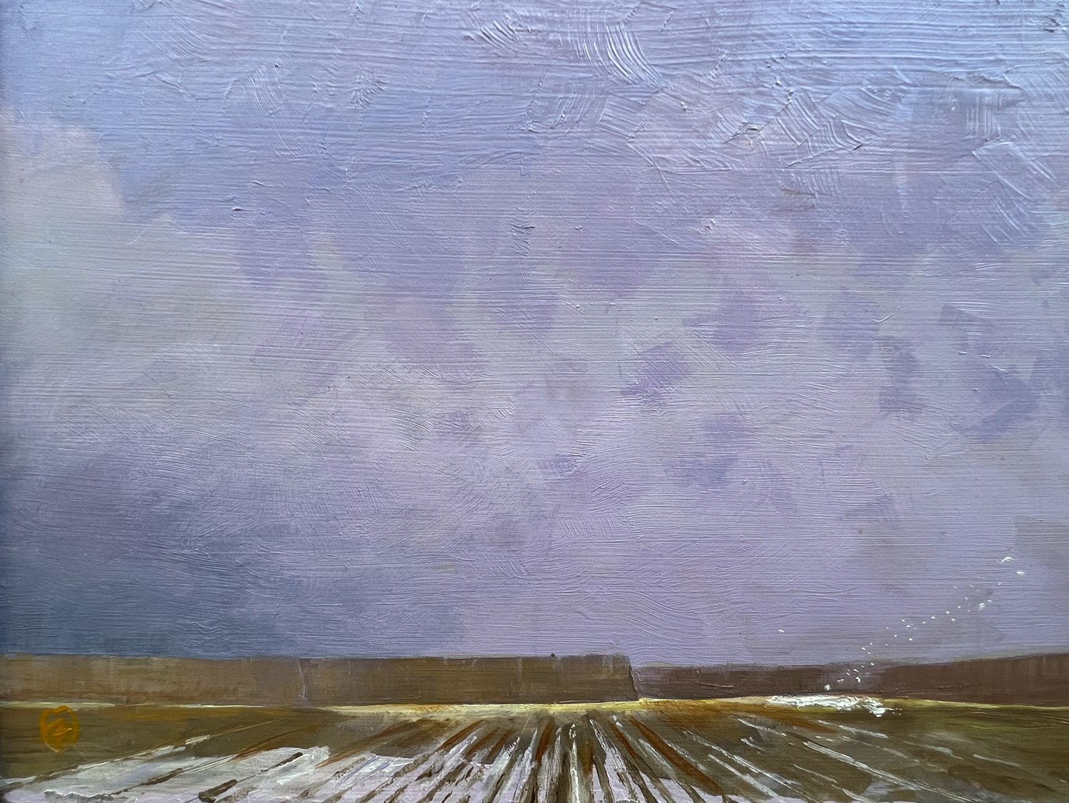 Snow Clouds & Snow Geese