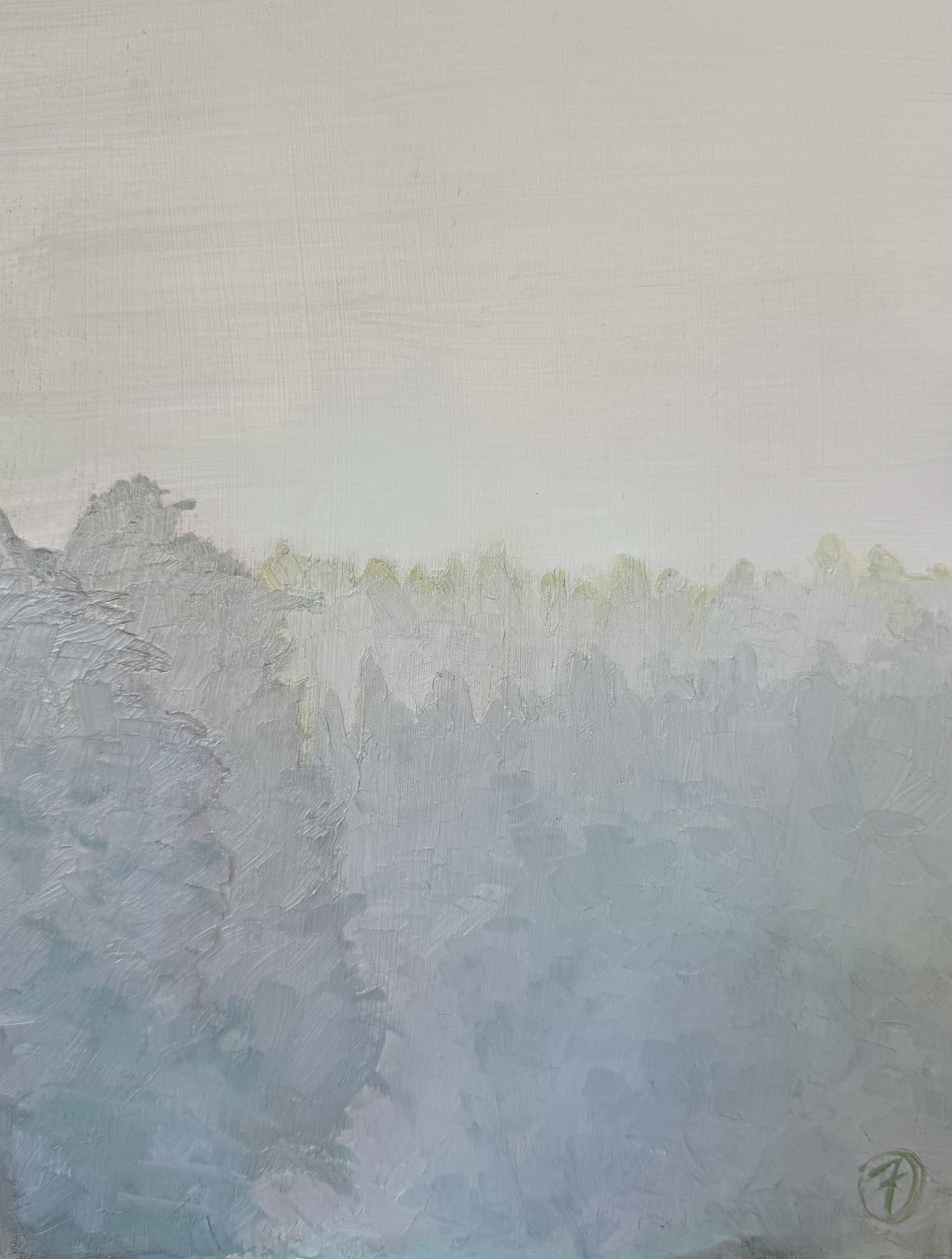 Pines in Fog