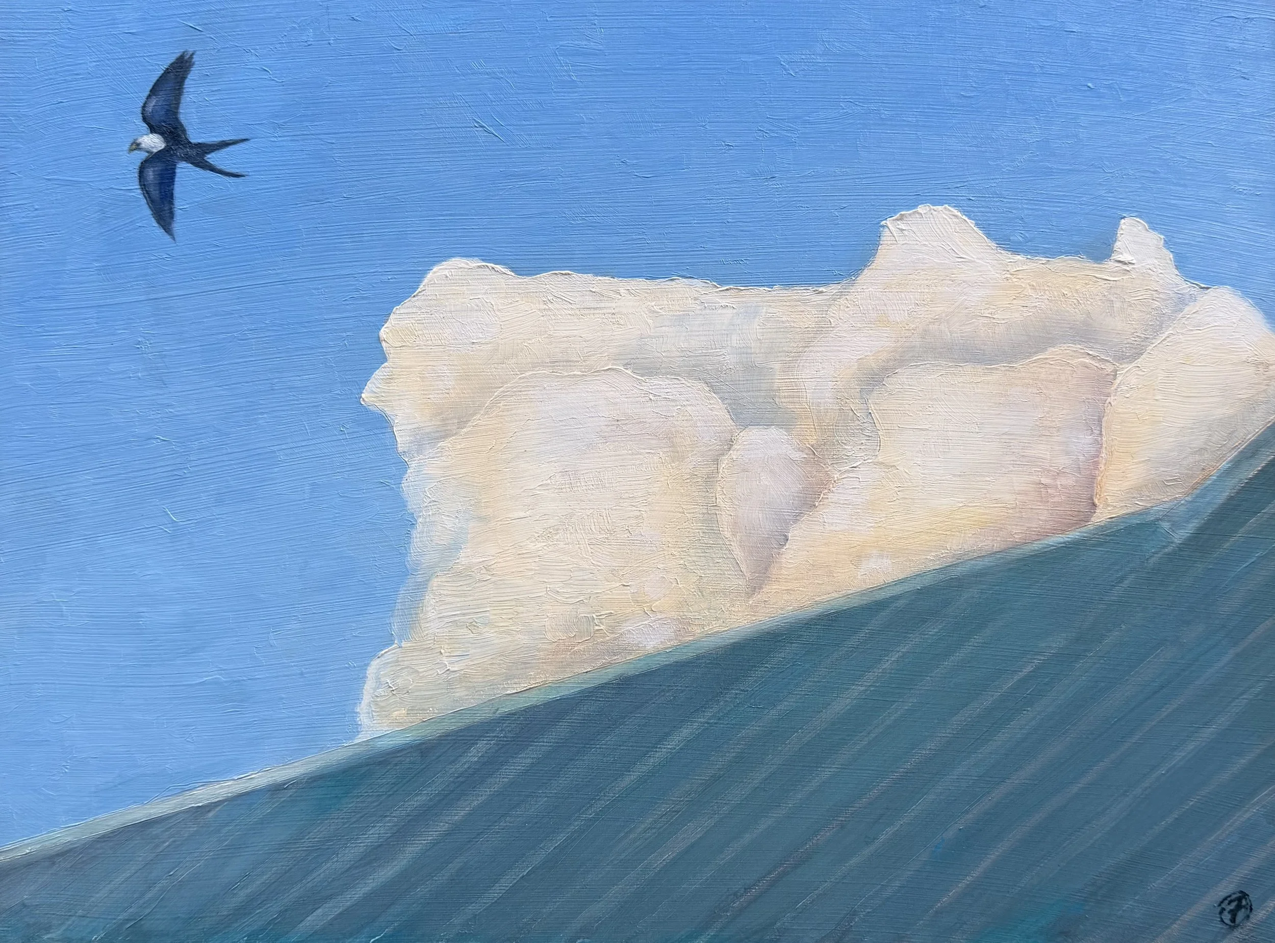 Northeast Corner - Swallowtail Kite