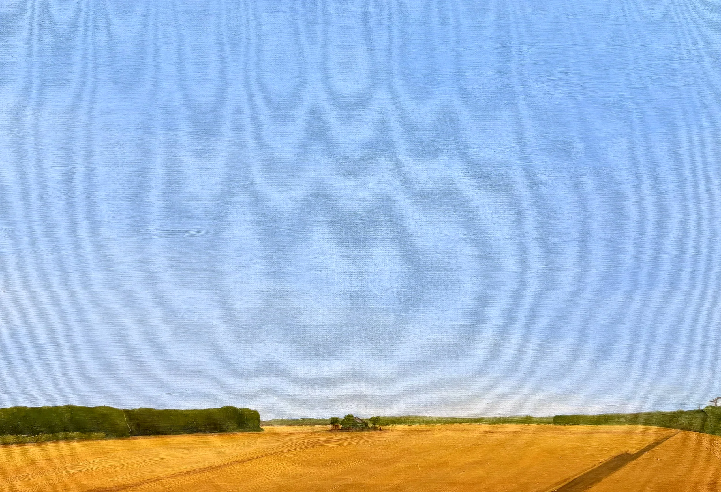 Wheatfields on Adam's Ridge