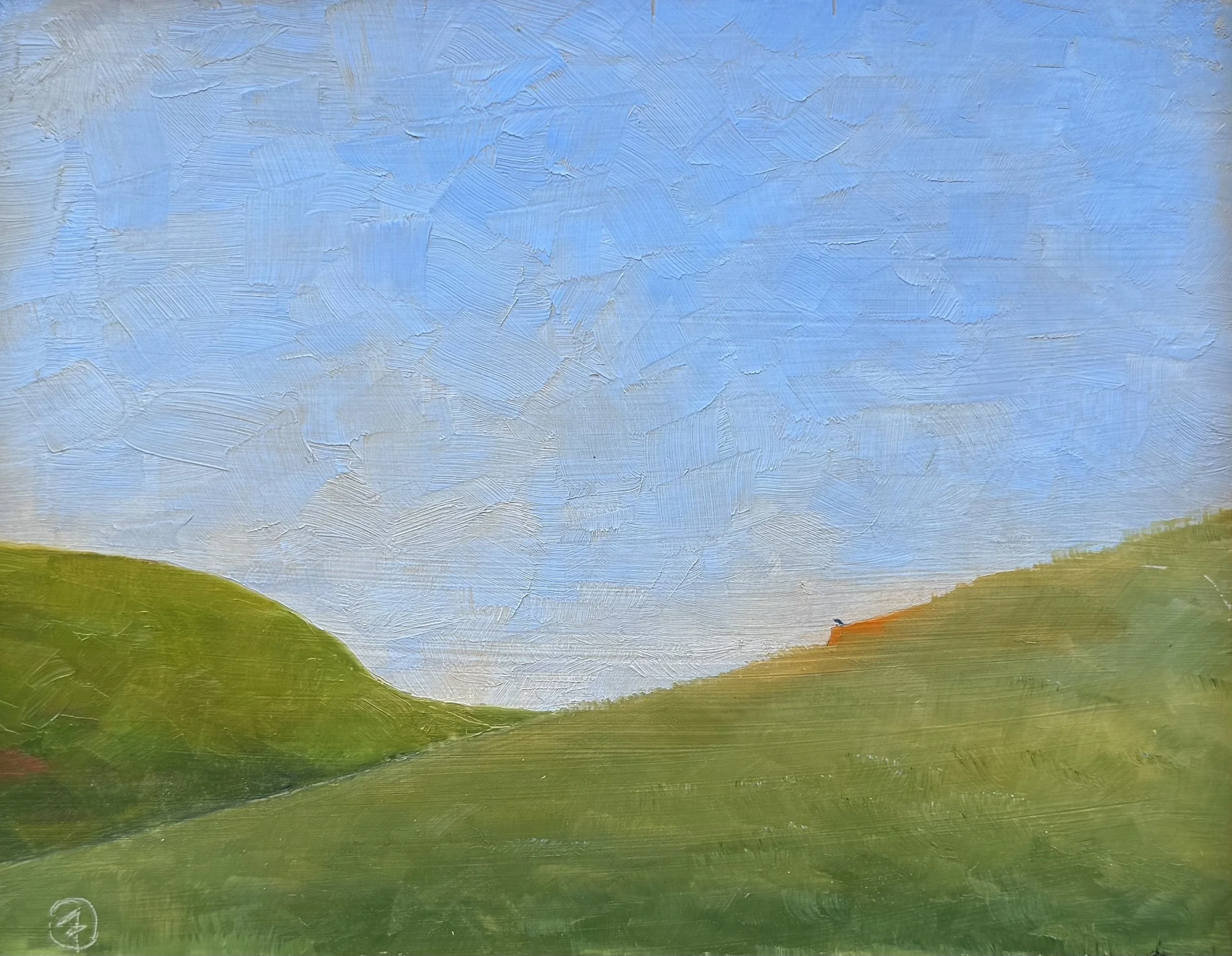 Raven - Polson, Montana